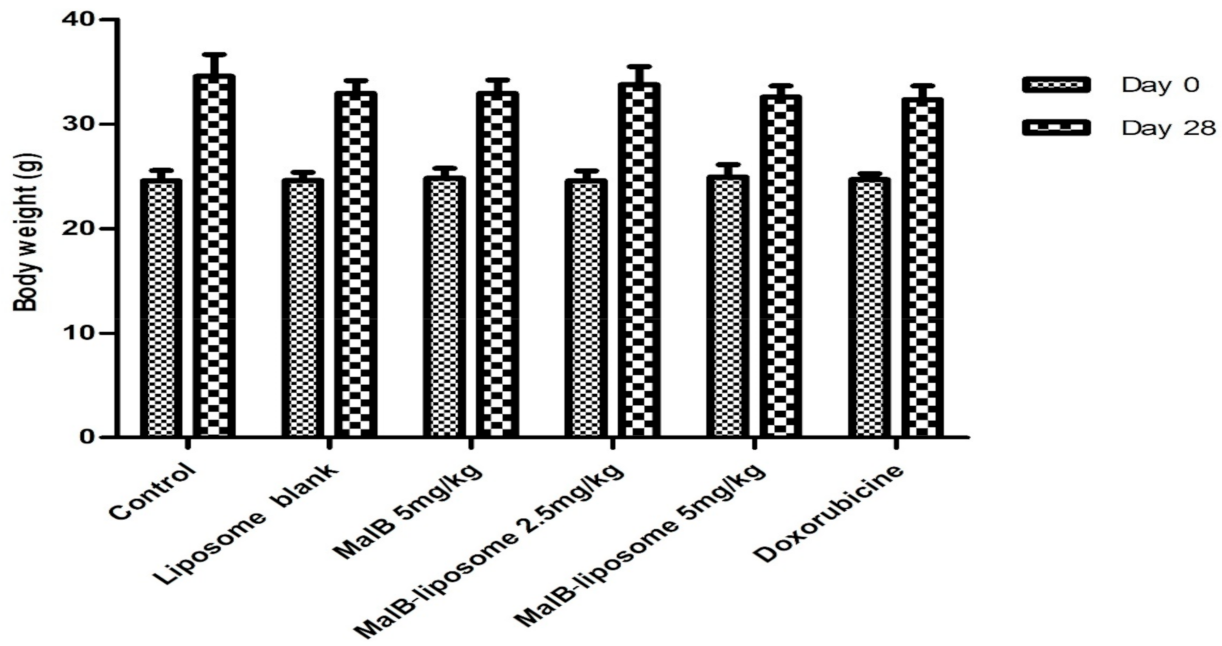 Applsci 10 08148 g005