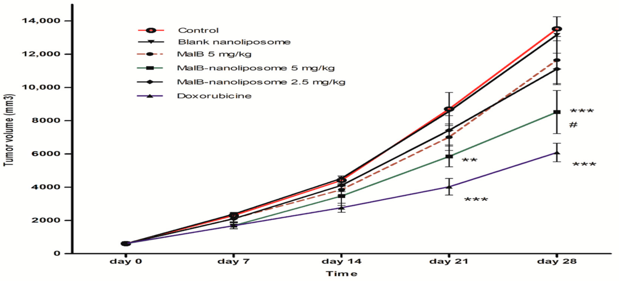 Applsci 10 08148 g006