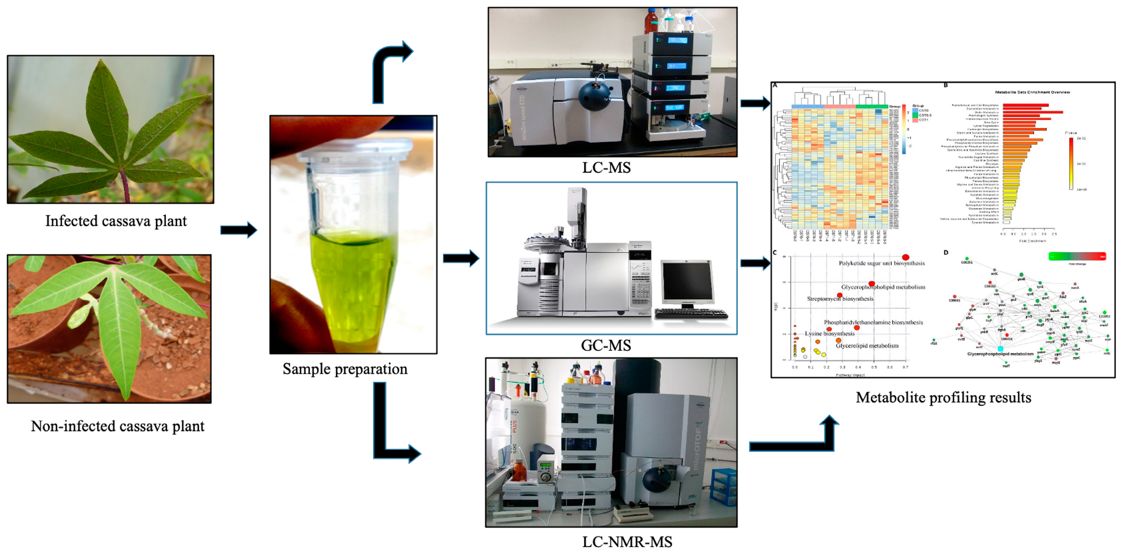 Applsci 10 08152 g002 Applsci 10 08152 g002