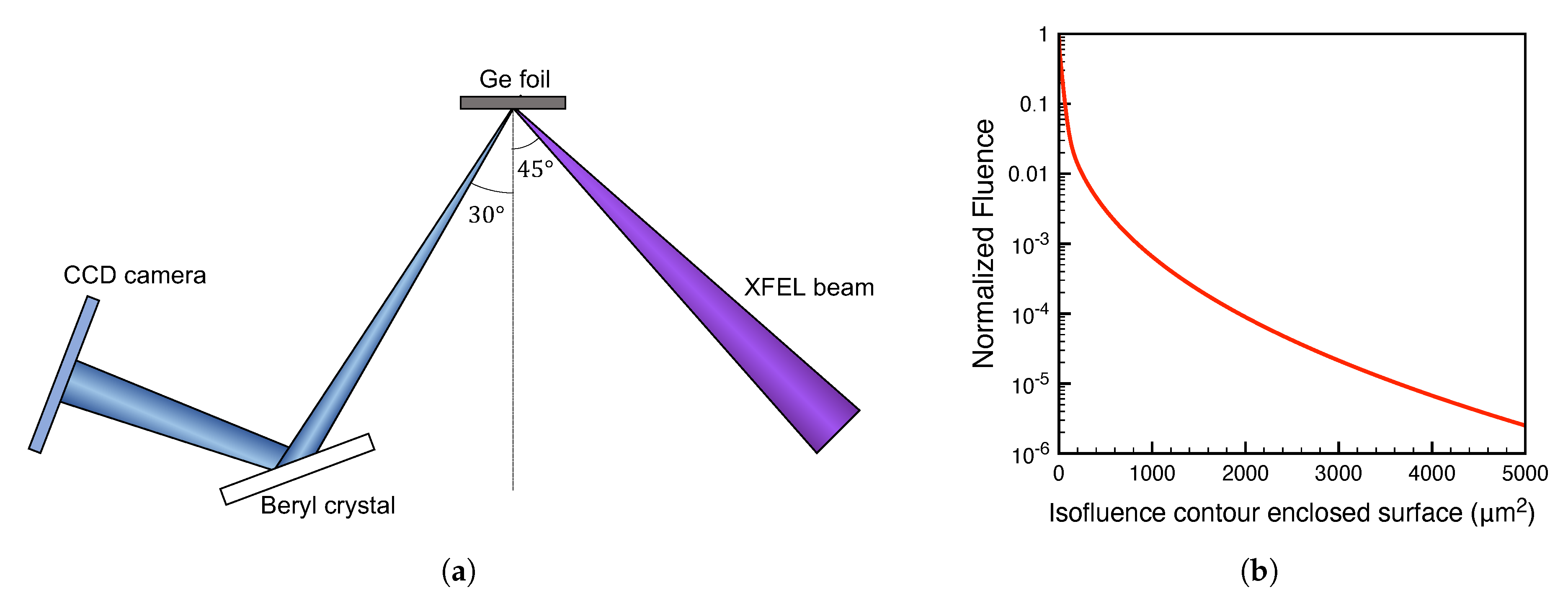Applsci 10 08153 g001
