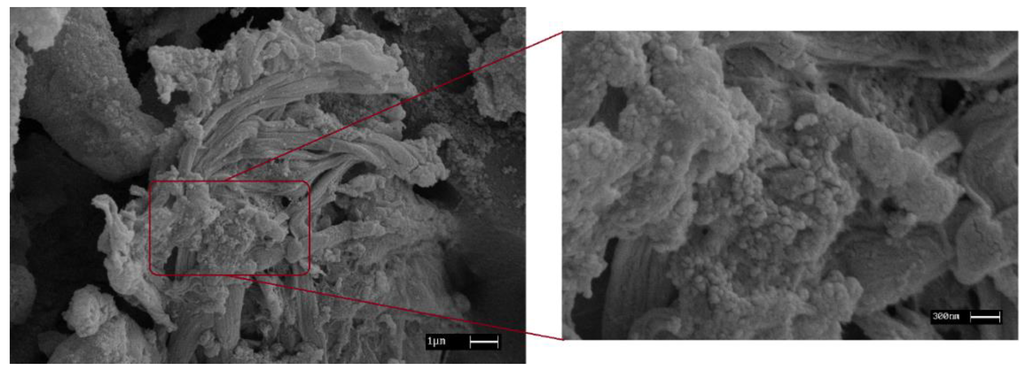 Applsci 10 08155 g004 Applsci 10 08155 g004