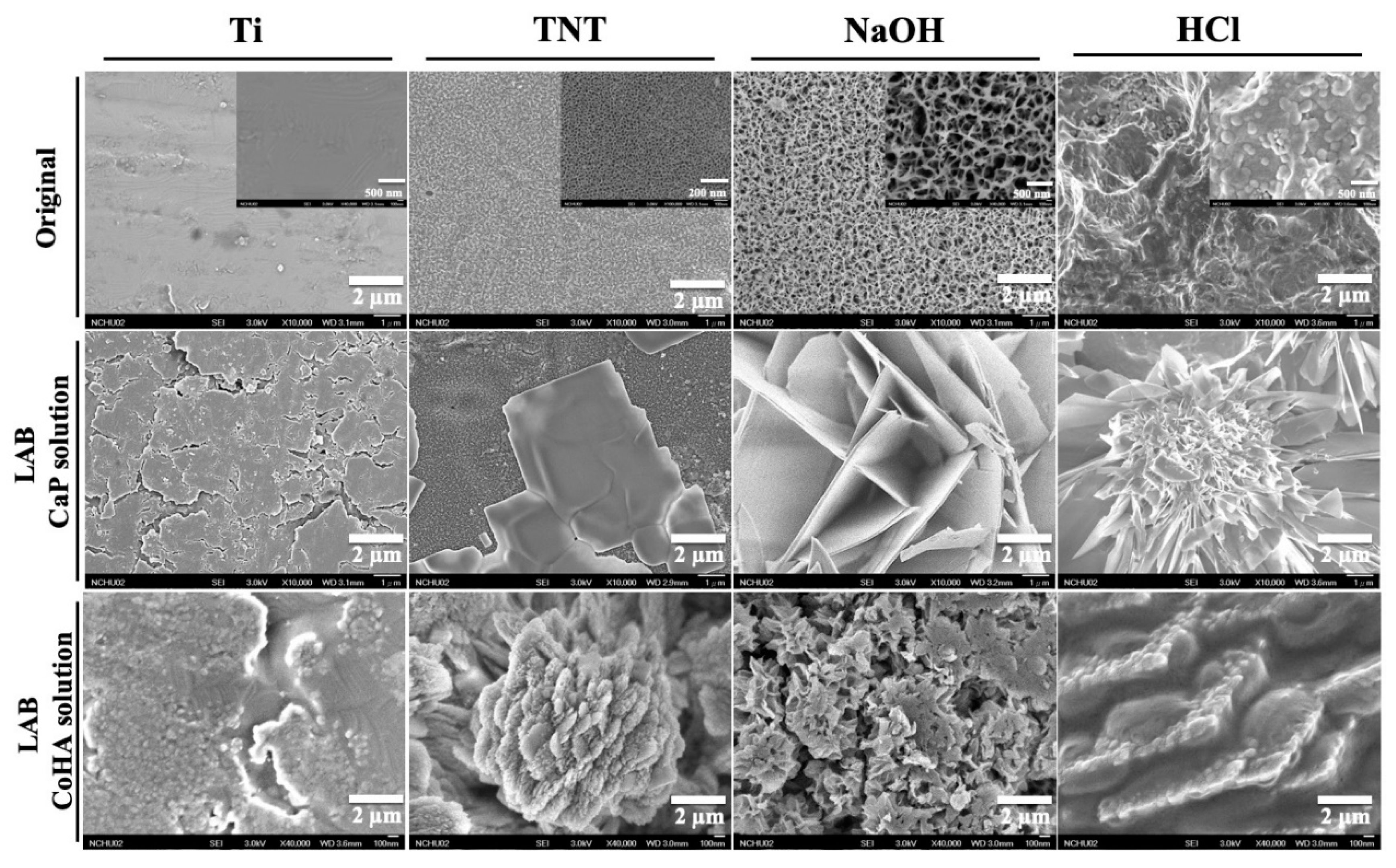 Applsci 10 08158 g002 Applsci 10 08158 g002