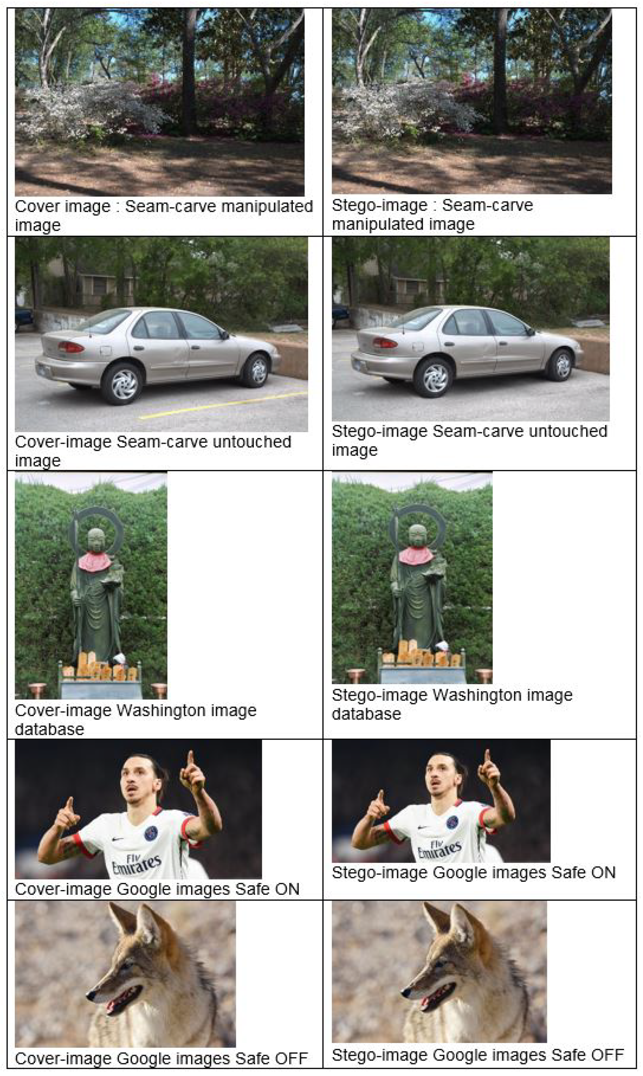 Applsci 10 08188 g001