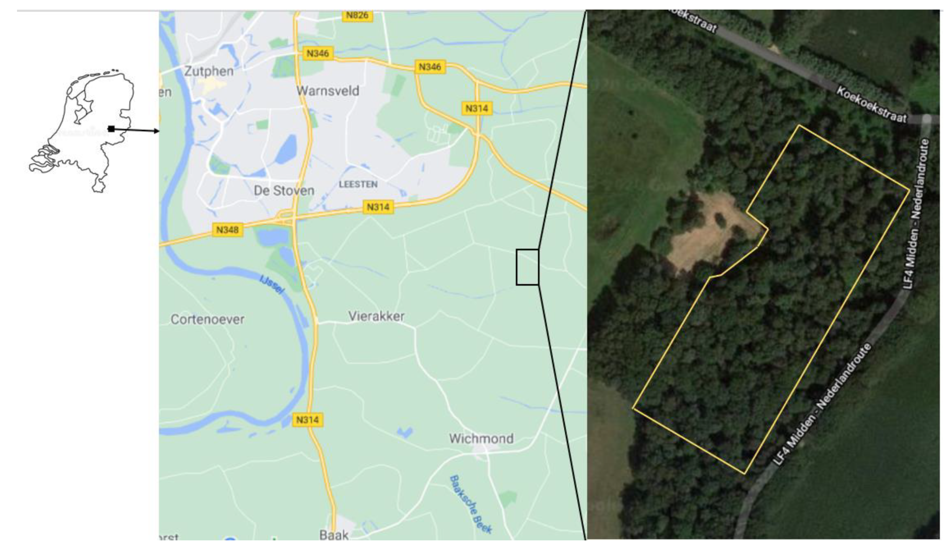 Applsci 10 08202 g001