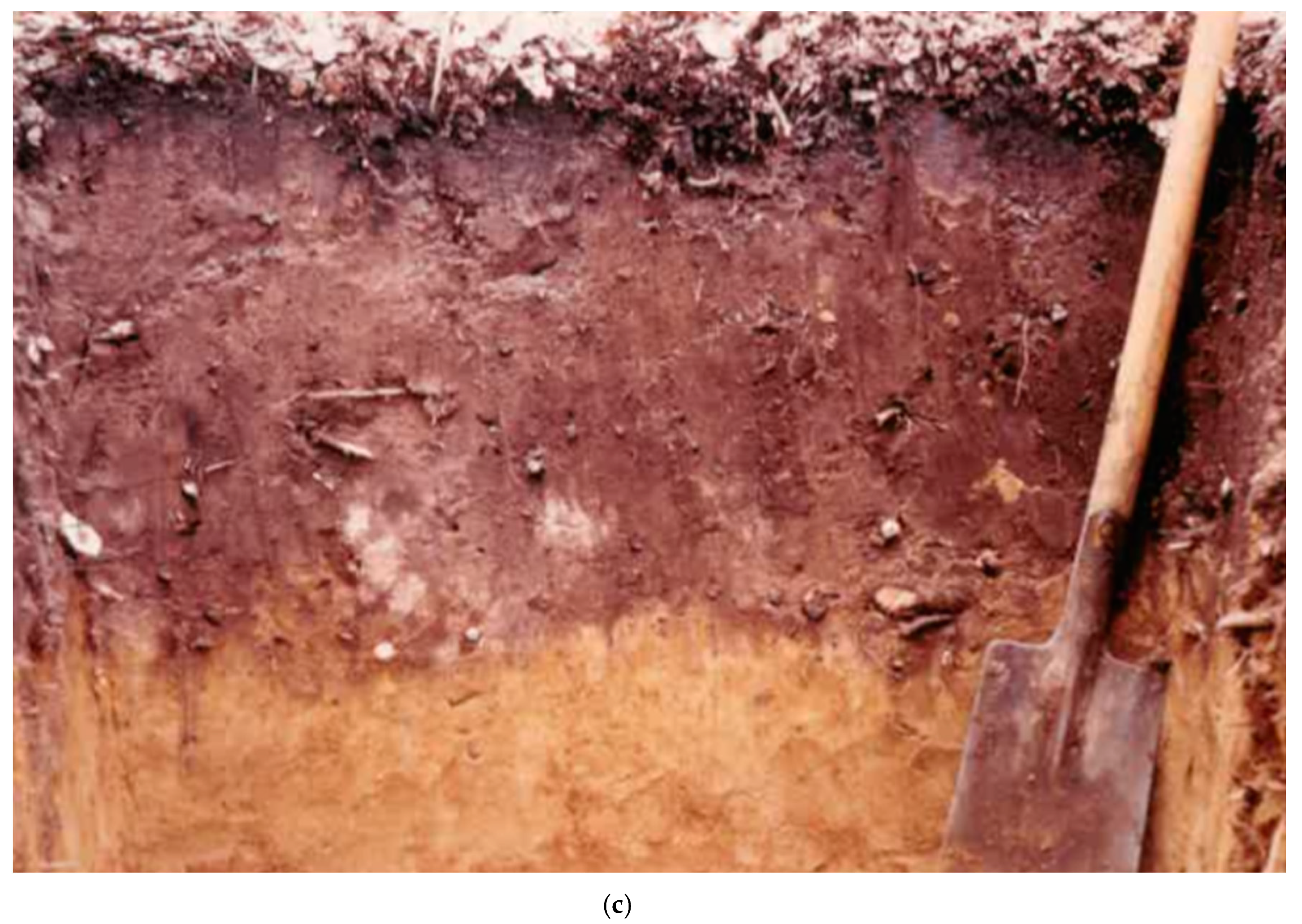 Applsci 10 08202 g002b