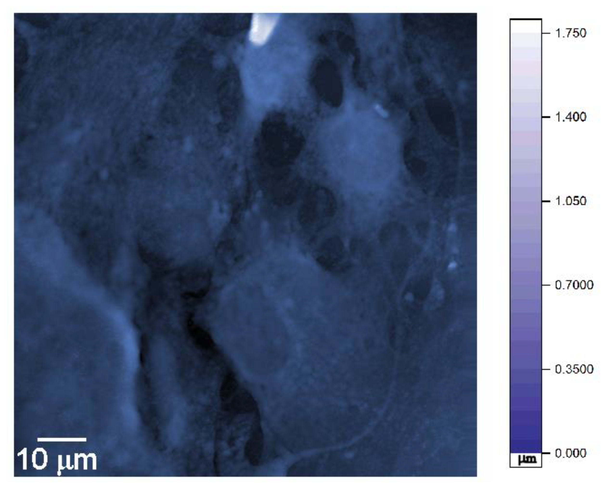 Applsci 10 08204 g001