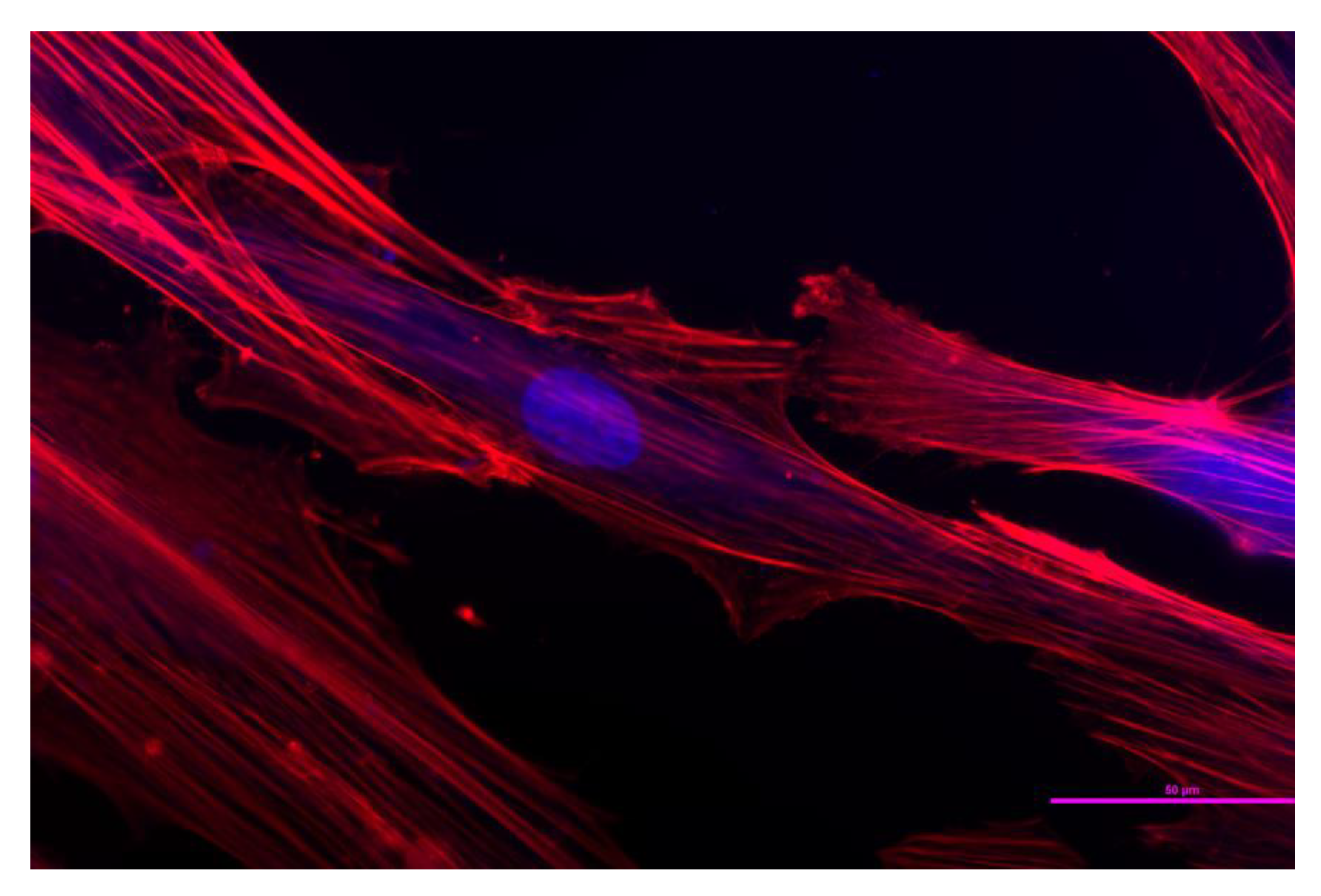 Applsci 10 08204 g002