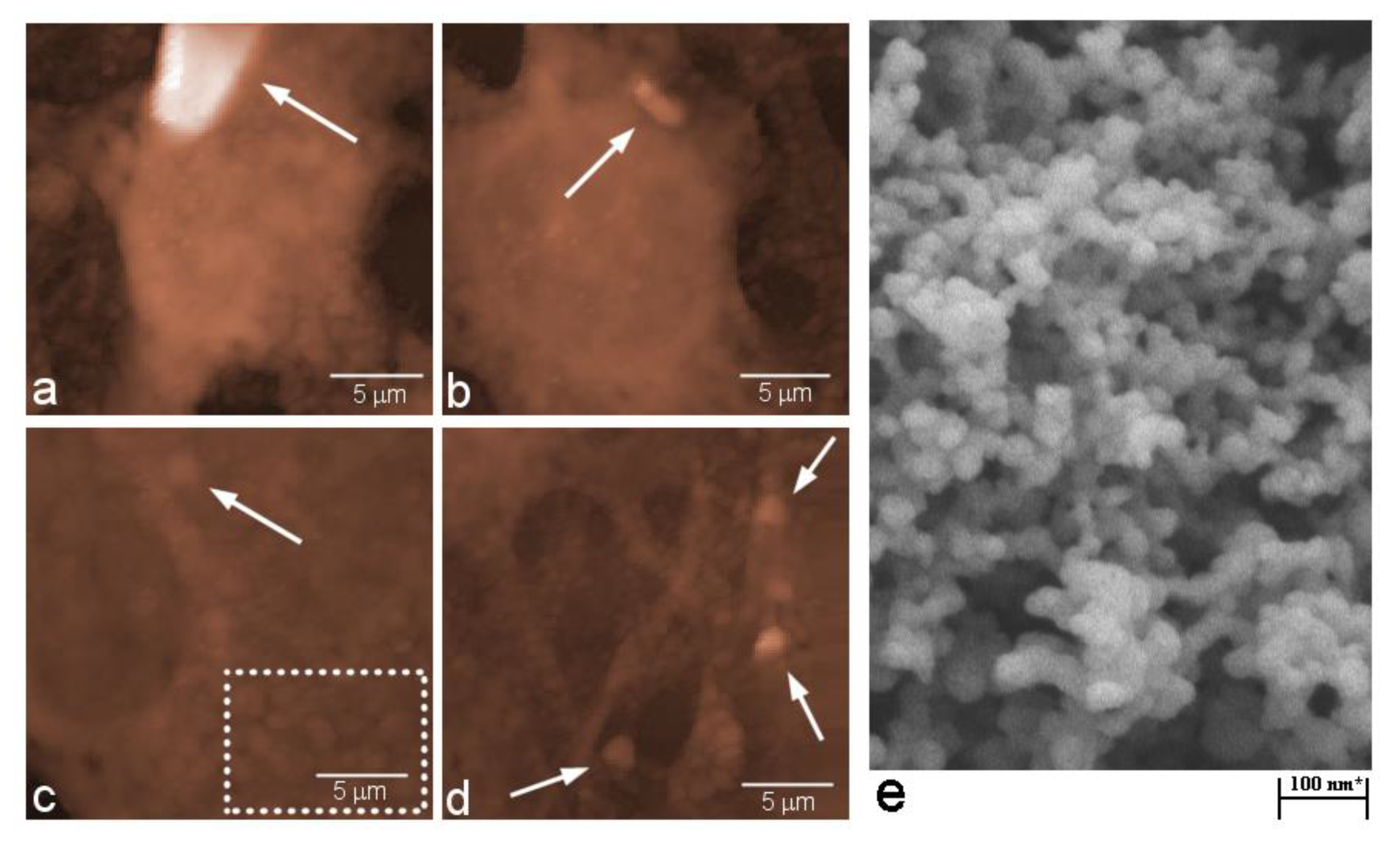 Applsci 10 08204 g003