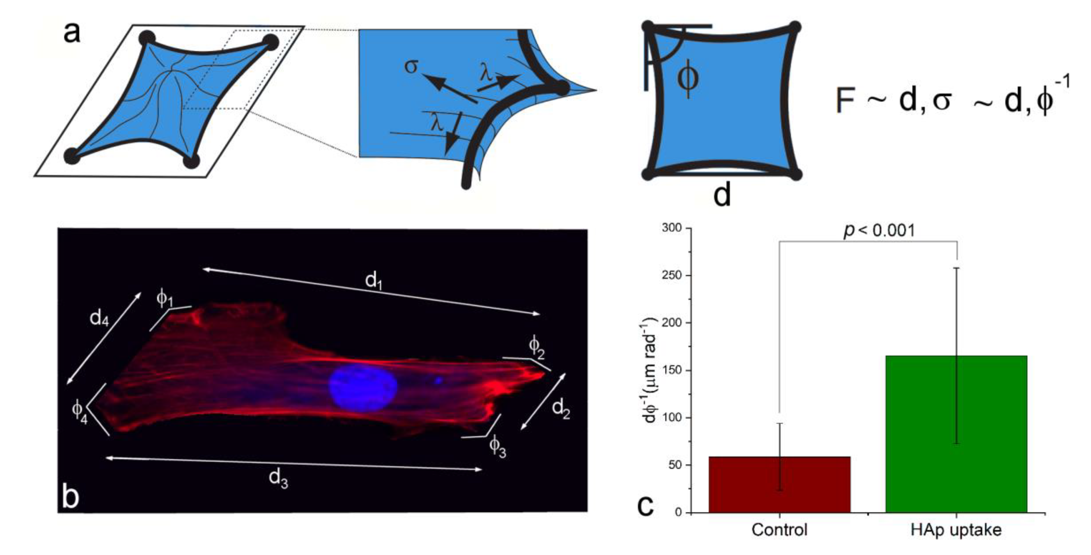 Applsci 10 08204 g009