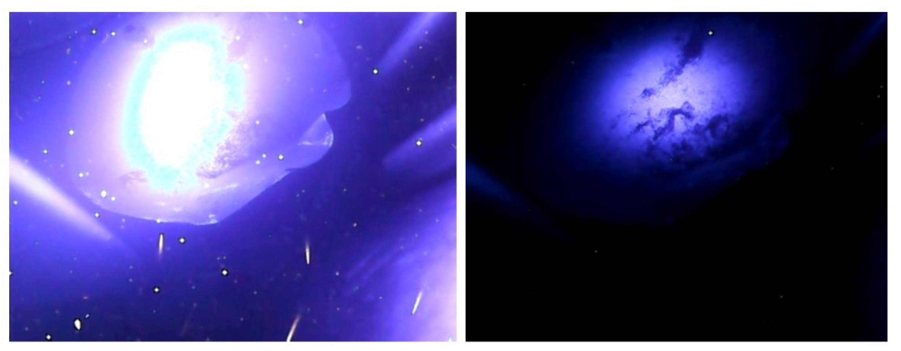 Applsci 10 08217 g005