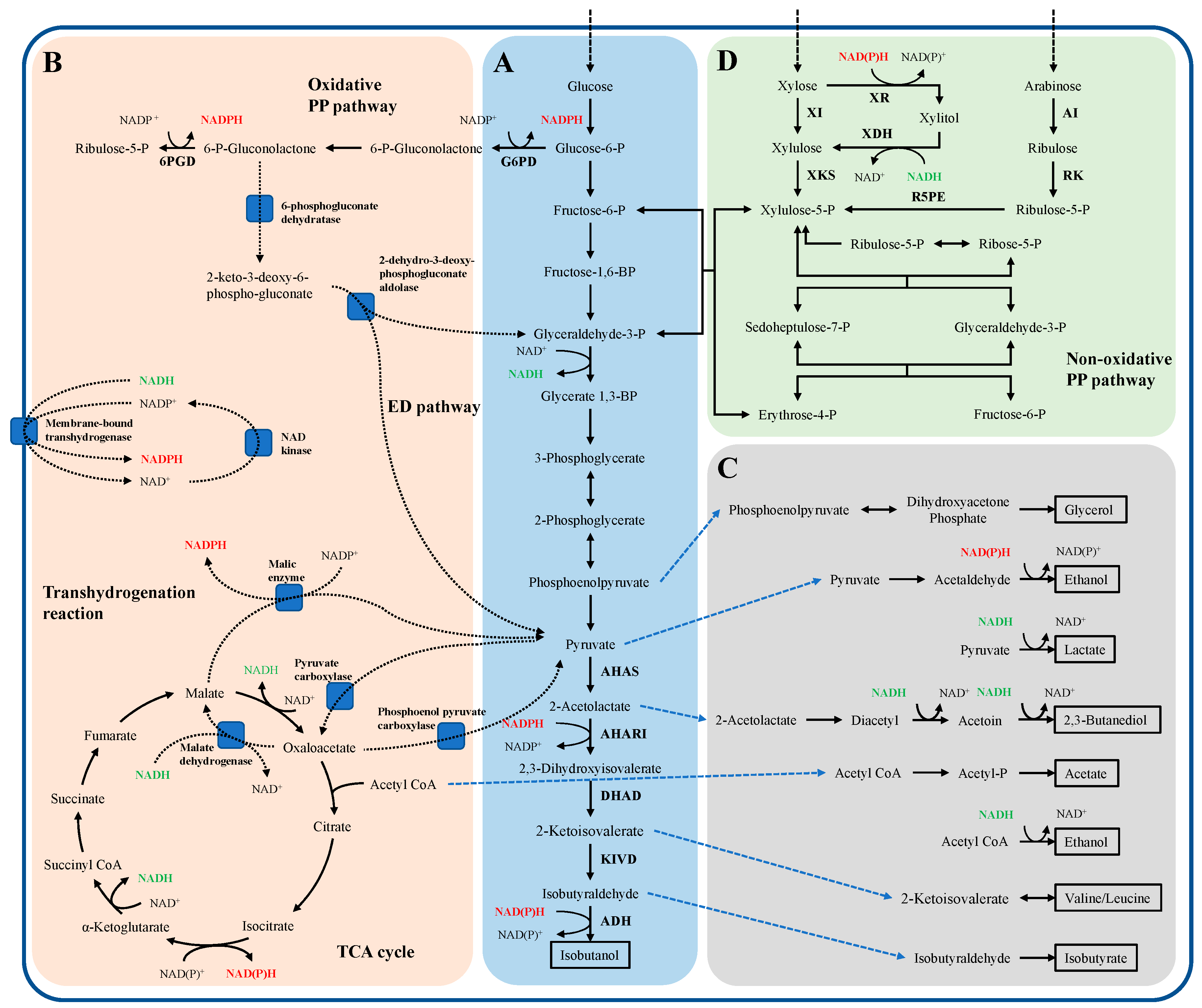 Applsci 10 08222 g001 Applsci 10 08222 g001