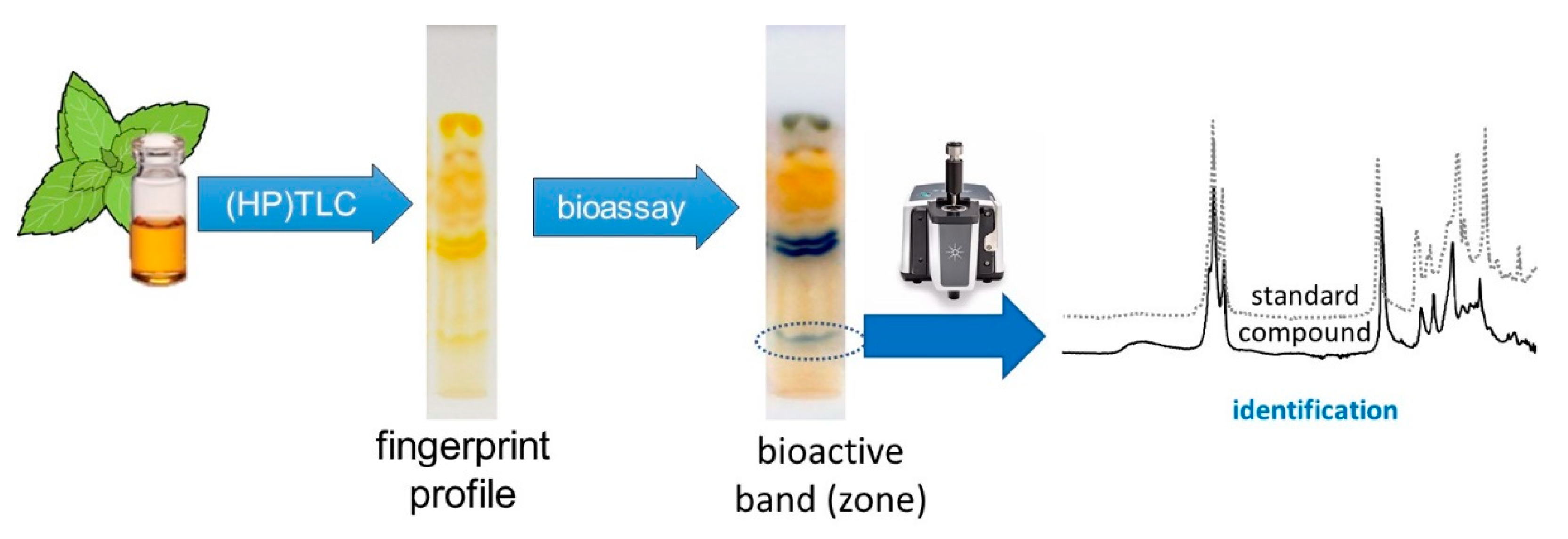 Applsci 10 08232 g001