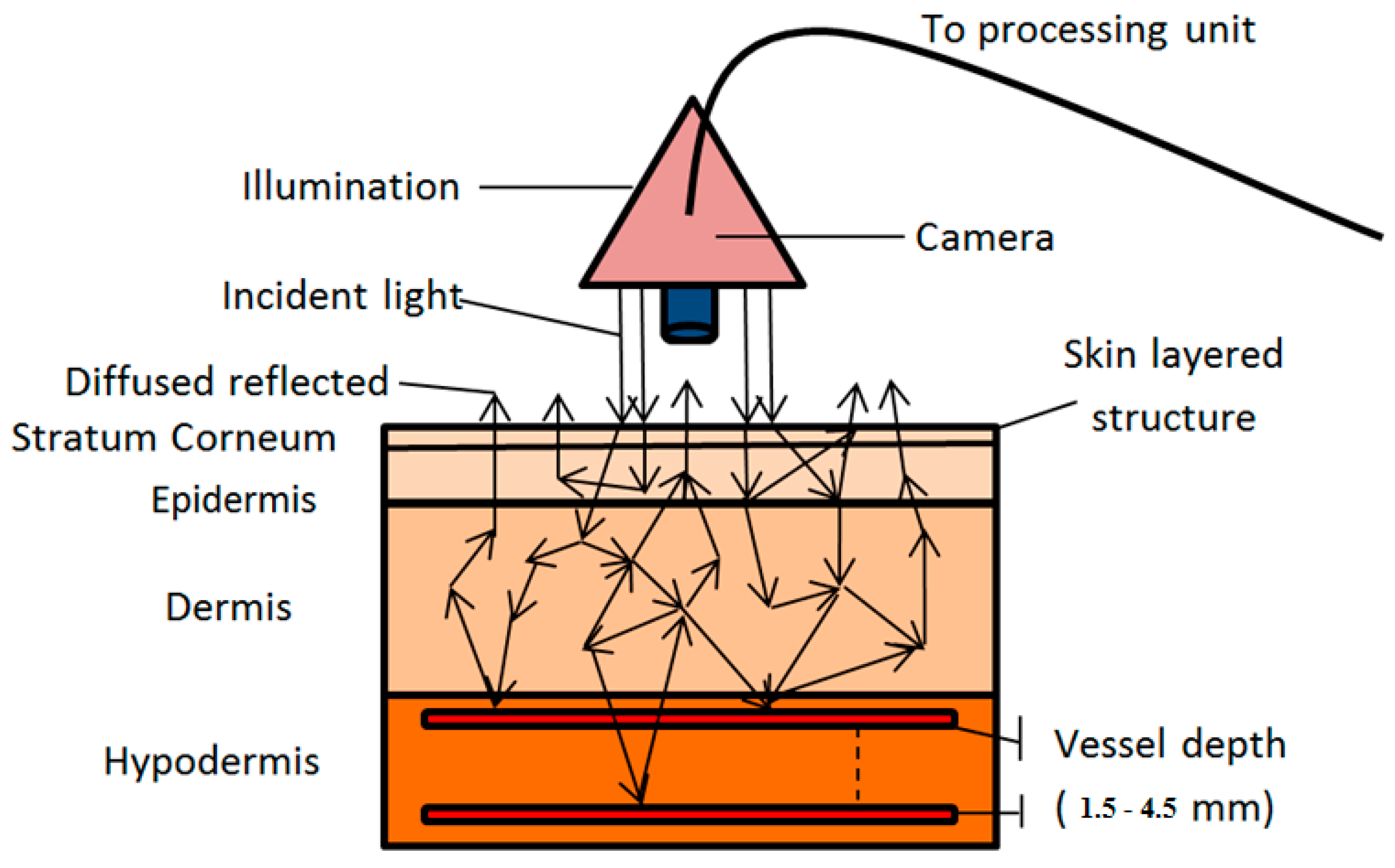 Applsci 10 08238 g001 Applsci 10 08238 g001