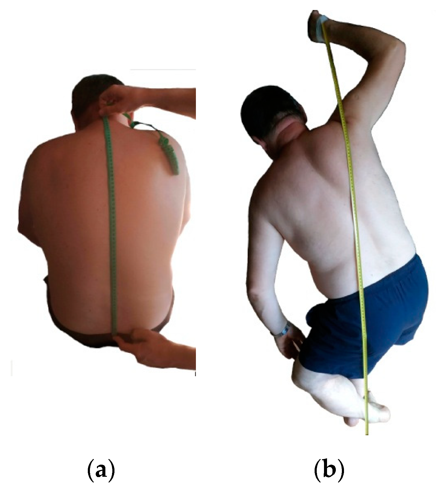 Applsci 10 08239 g002