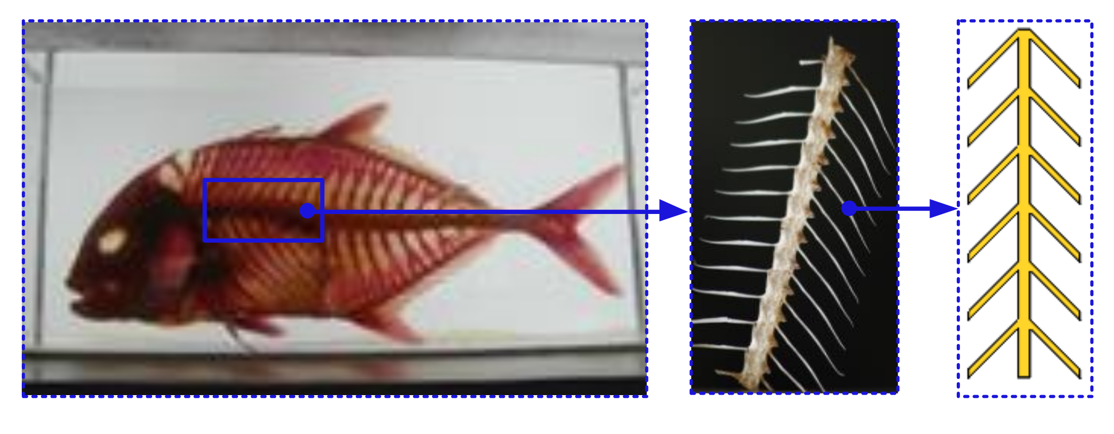 Applsci 10 08251 g012 Applsci 10 08251 g012