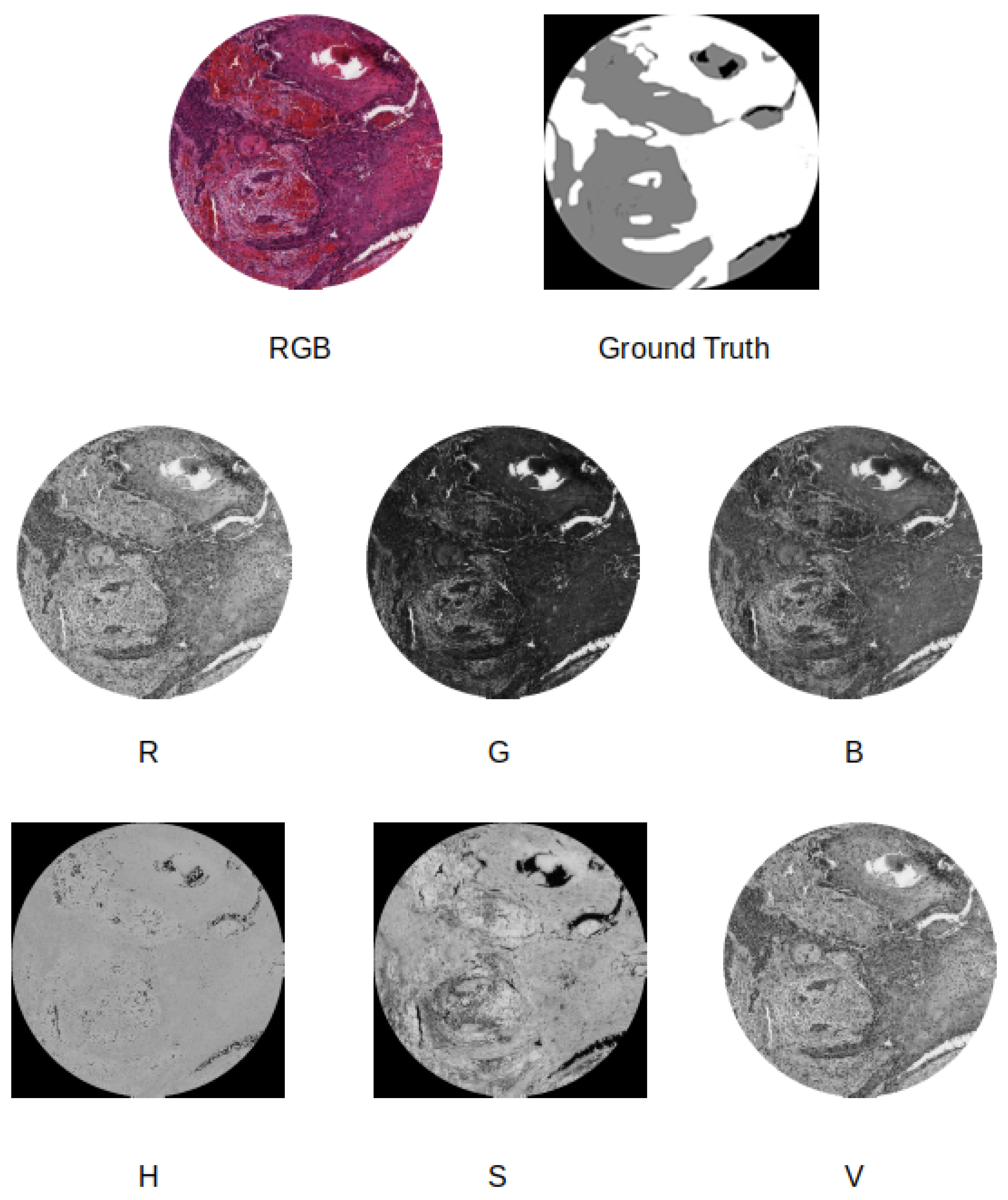 Applsci 10 08285 g007