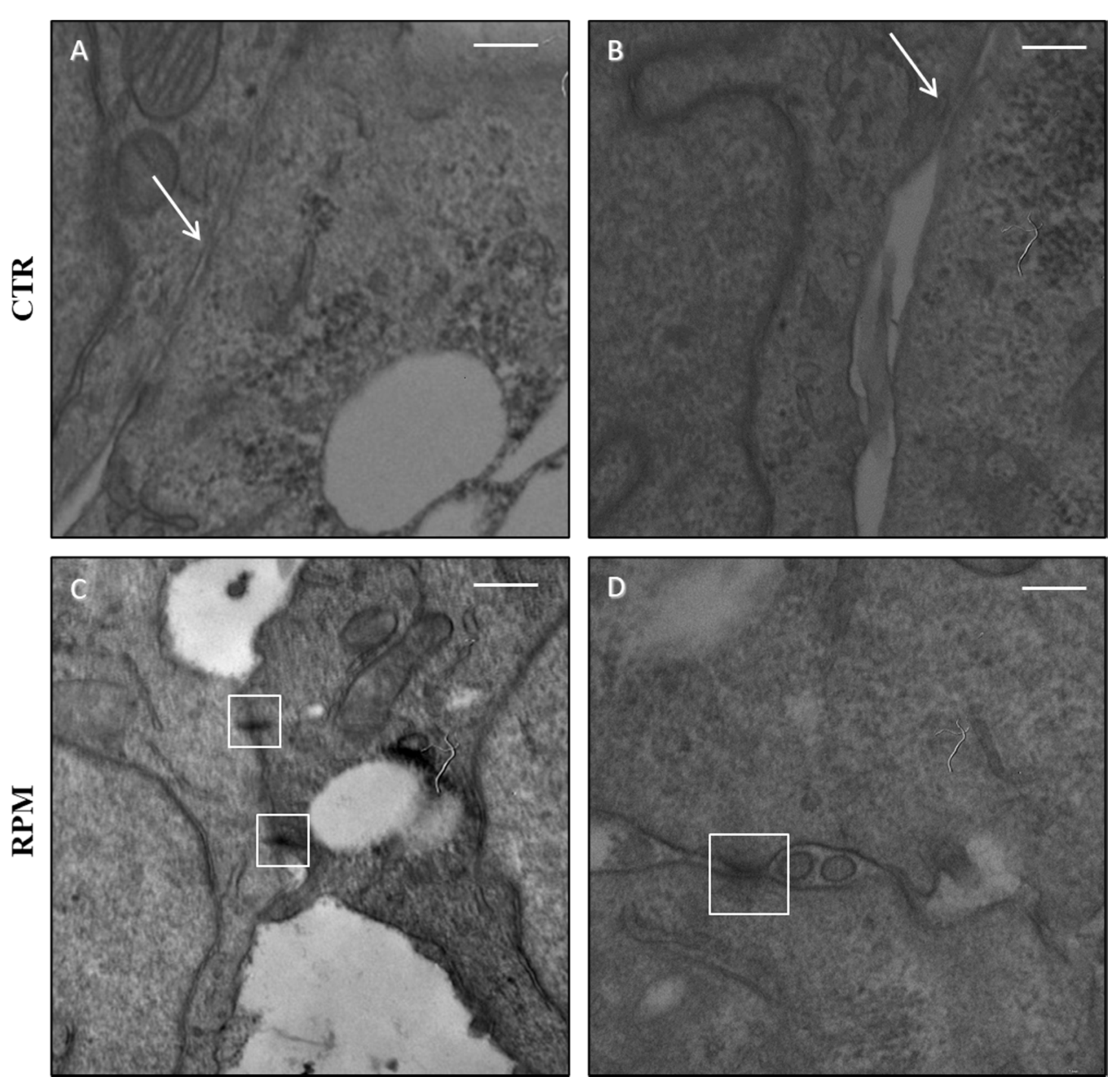 Applsci 10 08289 g002 Applsci 10 08289 g002