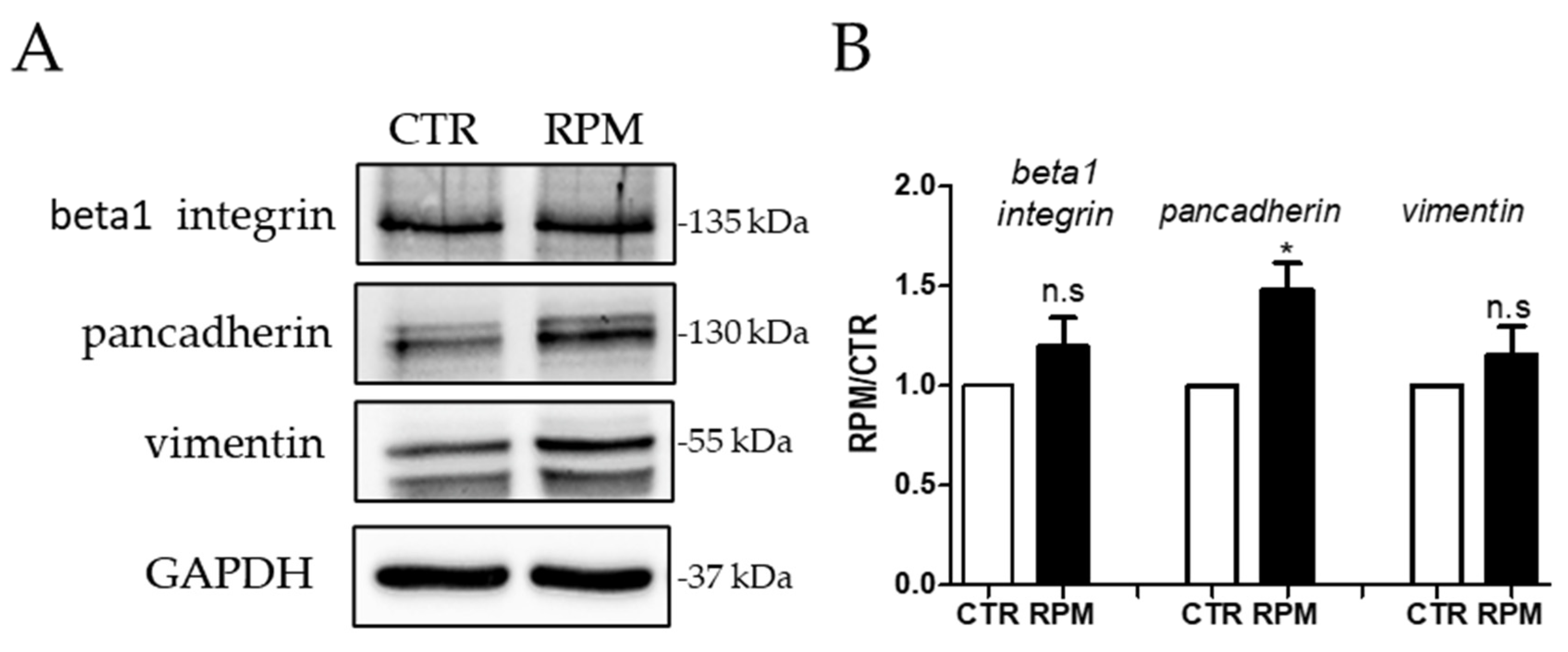 Applsci 10 08289 g006 Applsci 10 08289 g006