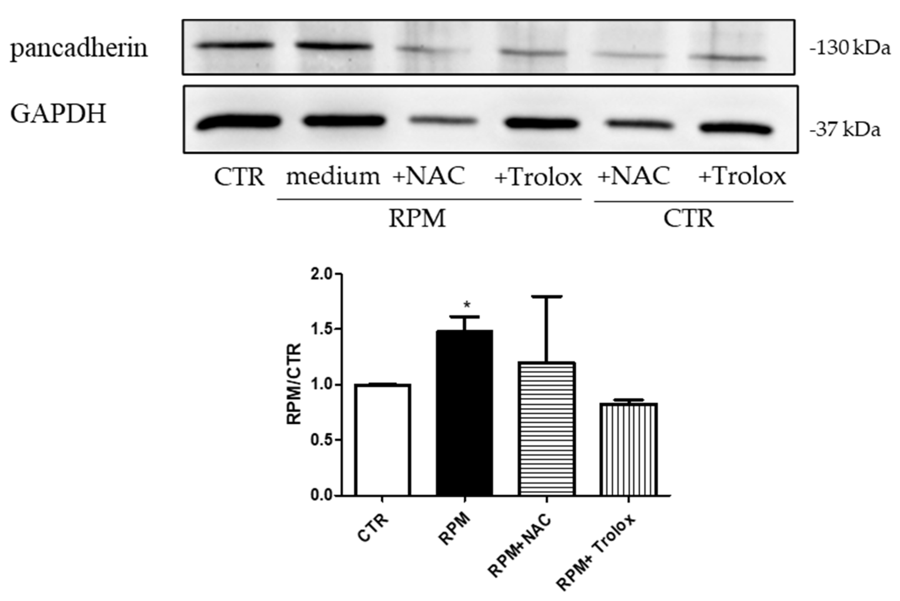 Applsci 10 08289 g009 Applsci 10 08289 g009