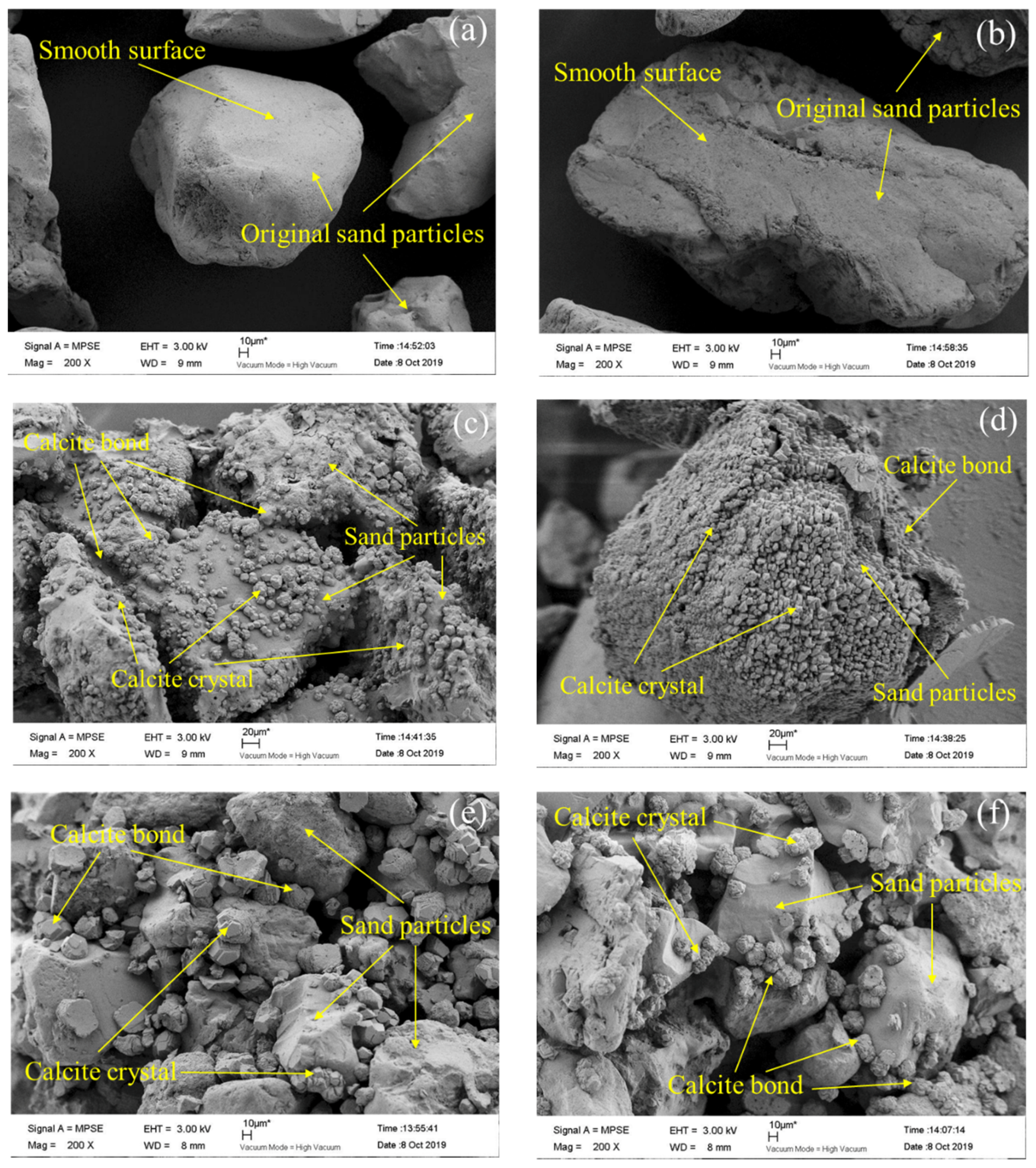 Applied Sciences Free Full Text Effect Of Particle Size On Mechanical Property Of Bio Treated Sand Foundation Html Applied Sciences Free Full Text Effect Of Particle Size On Mechanical Property Of Bio Treated Sand Foundation Html