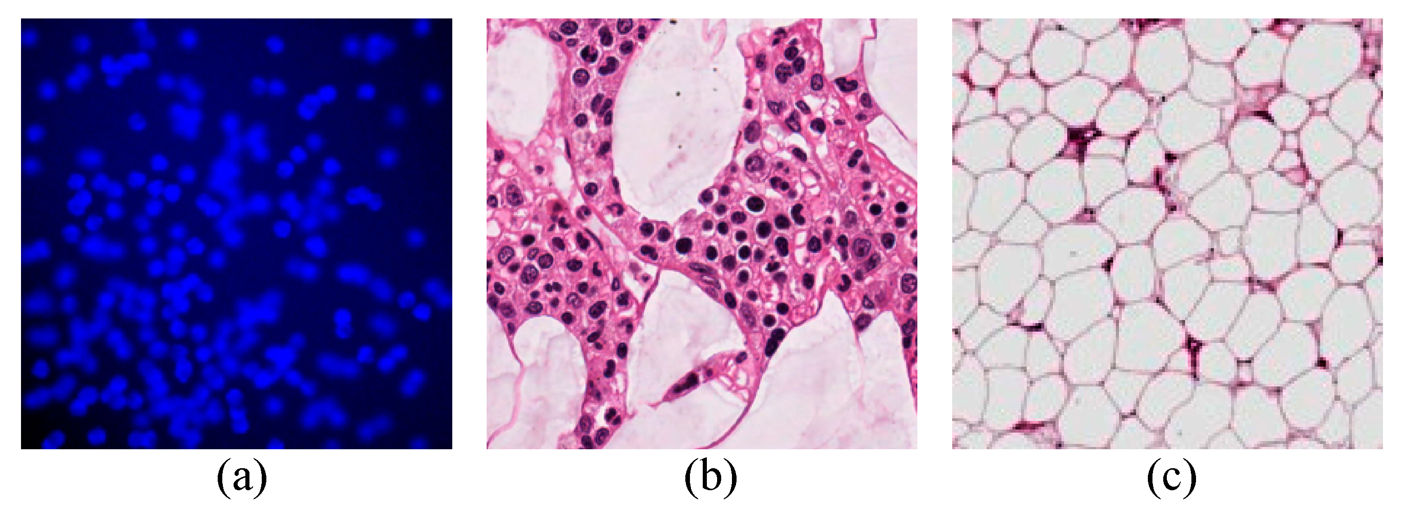 Applsci 10 08346 g010 Applsci 10 08346 g010