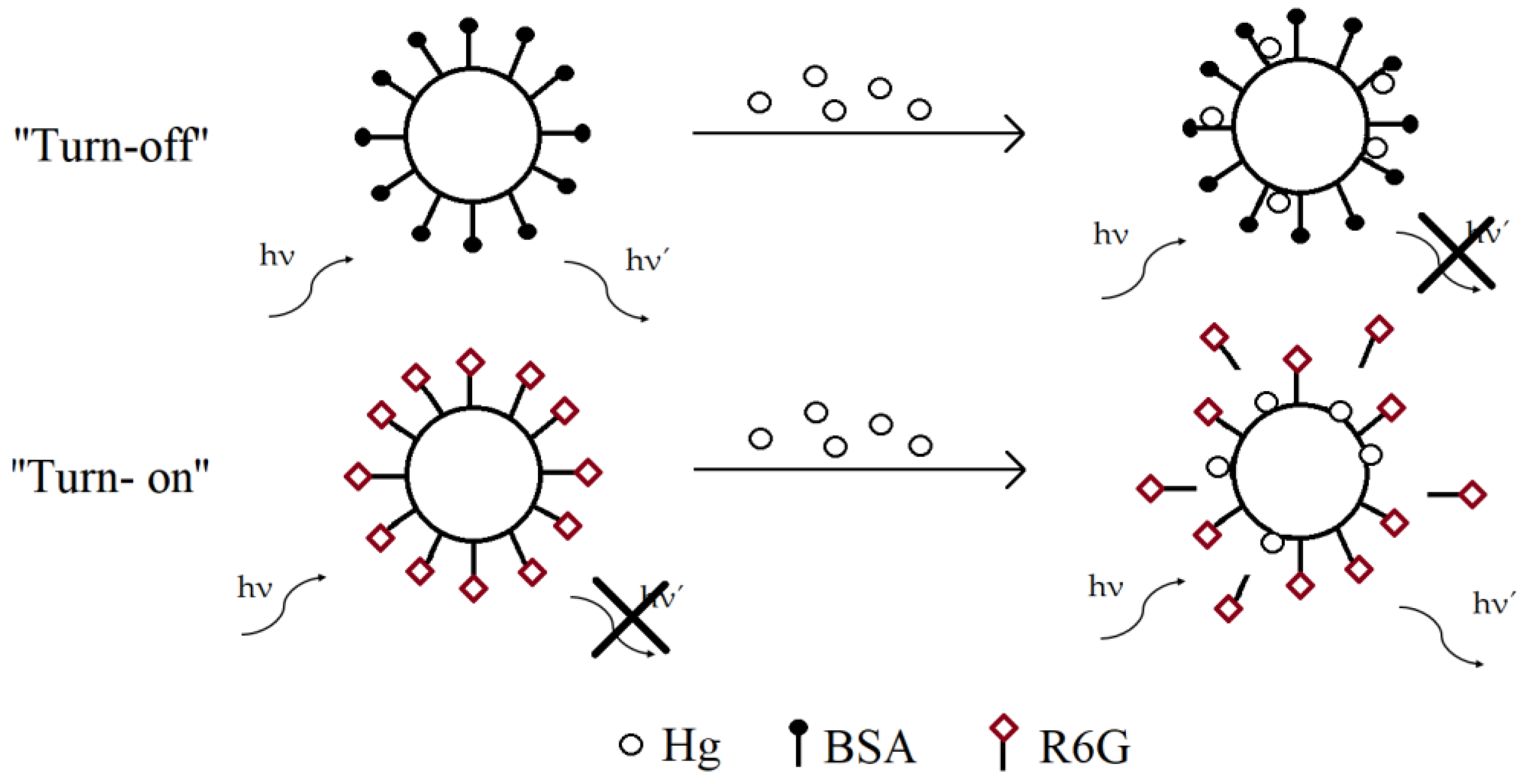 Applsci 10 08353 g013 Applsci 10 08353 g013