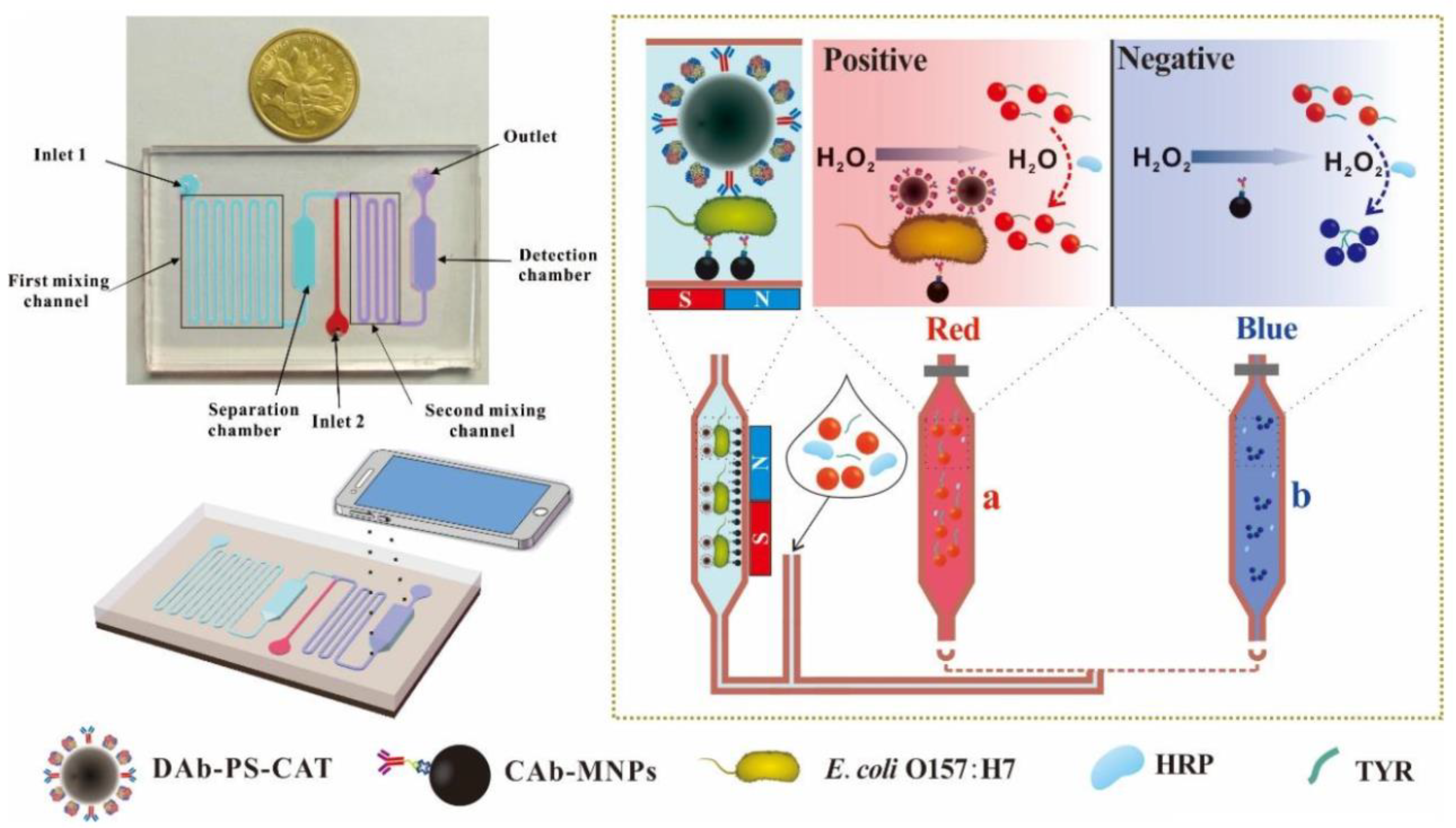 Applsci 10 08353 g014 Applsci 10 08353 g014
