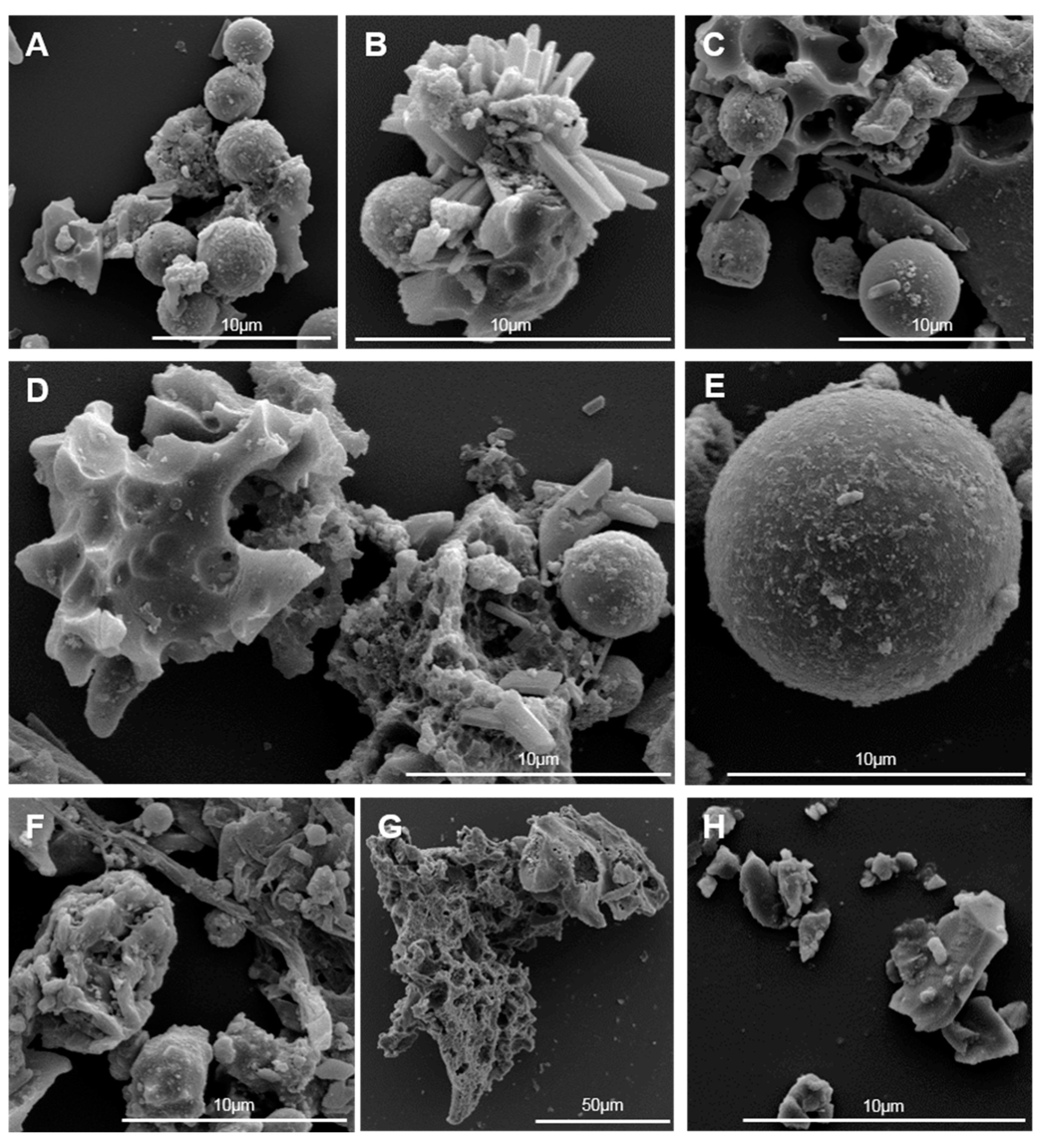 Applsci 10 08368 g001 Applsci 10 08368 g001