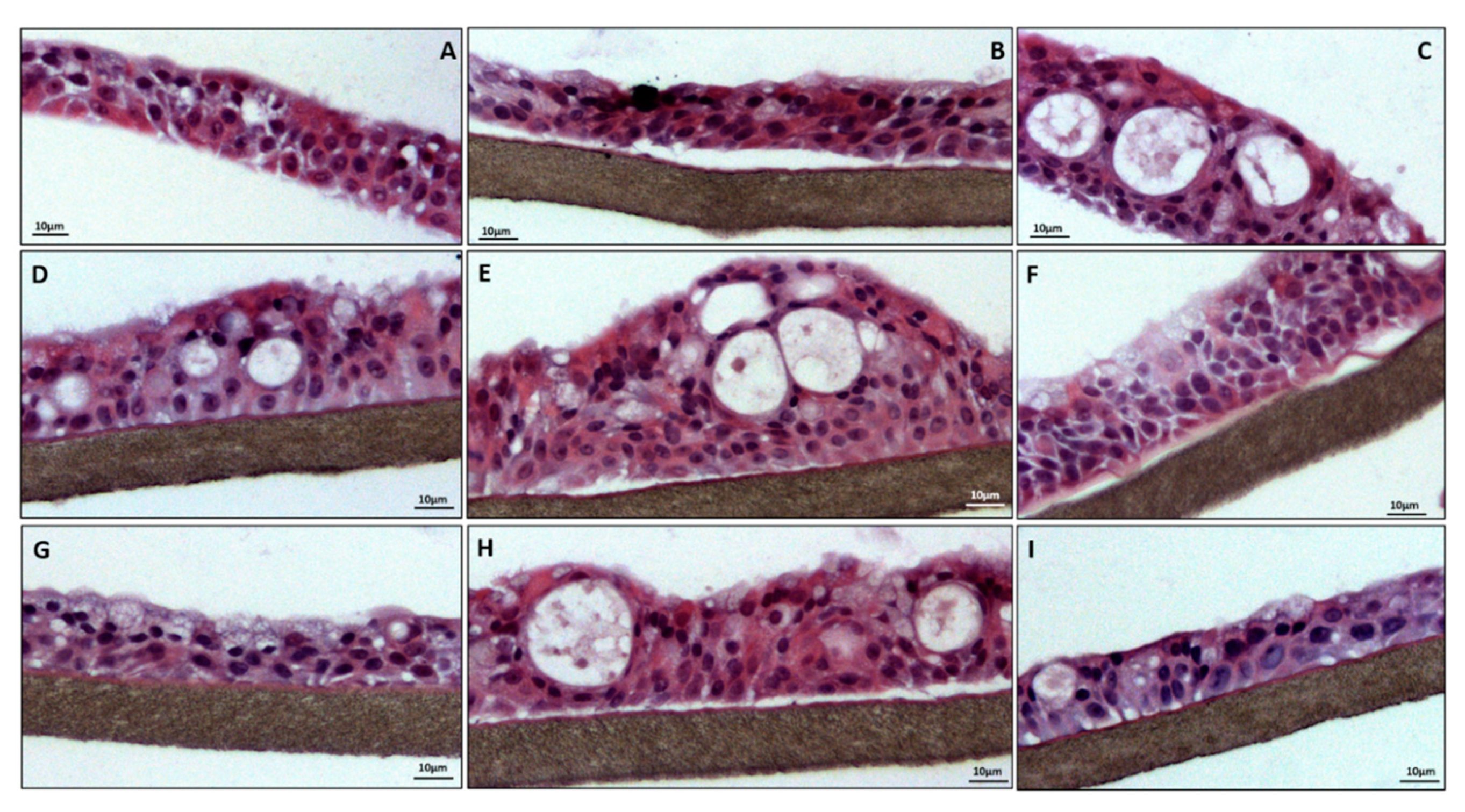 Applsci 10 08368 g006 Applsci 10 08368 g006
