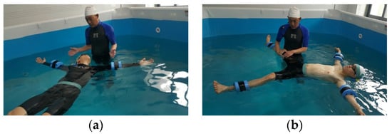 SPRINT Aquatic Balance Rings for Floating Aerobics Rehab Stretching or Relaxing 