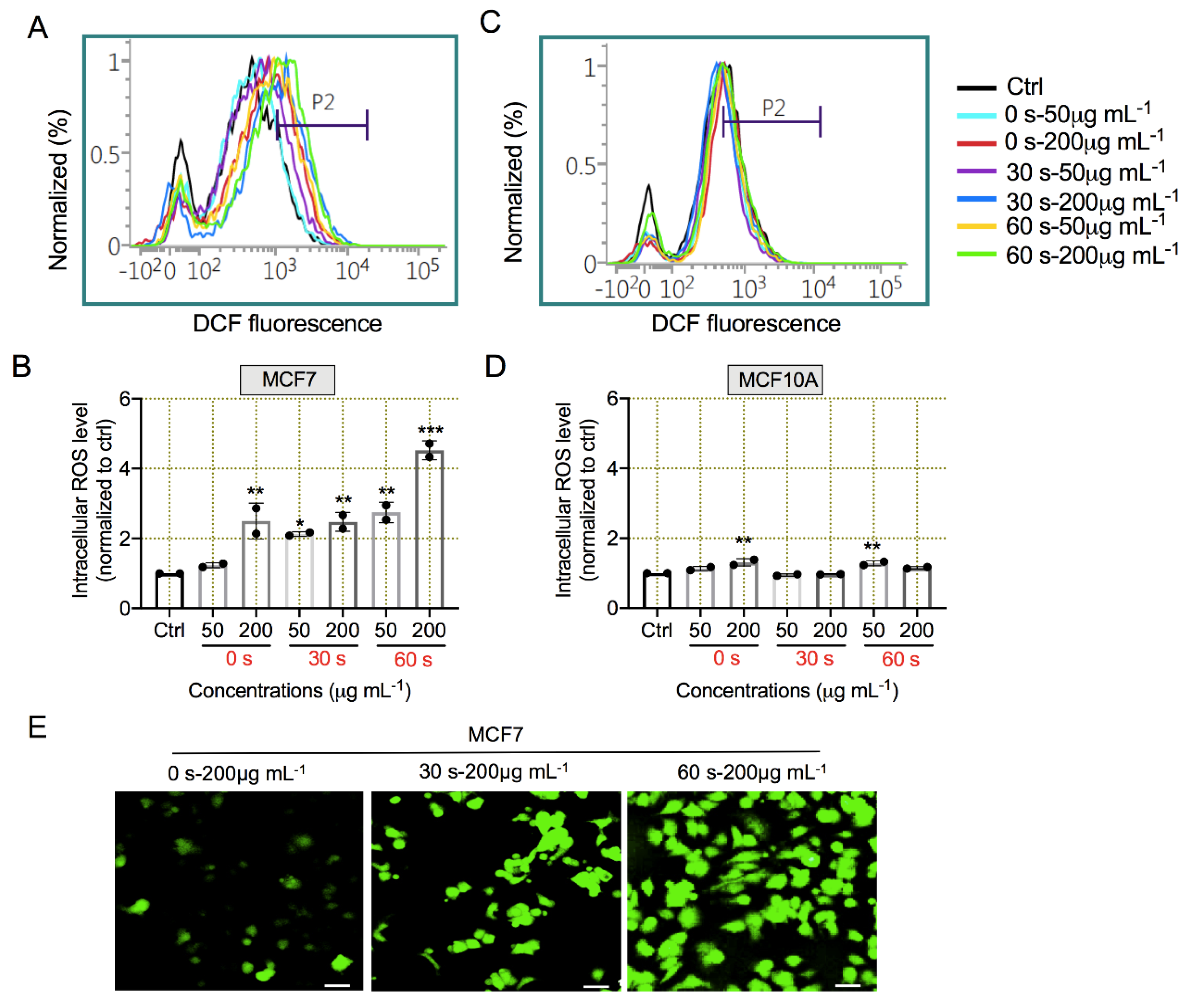 Applsci 10 08395 g007