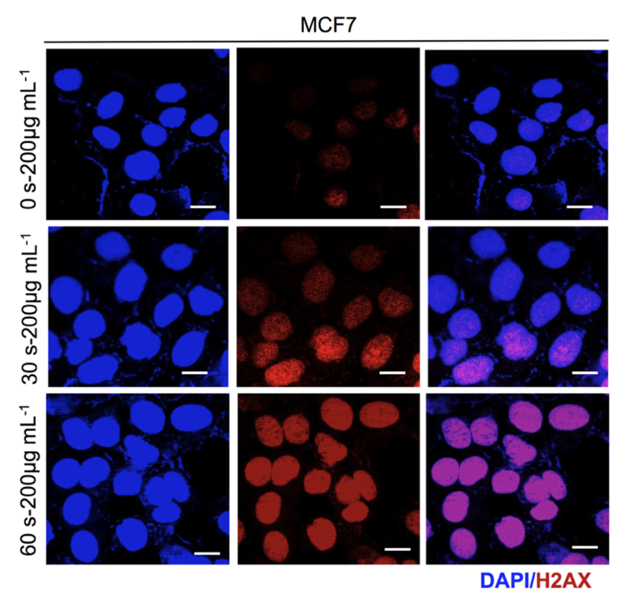 Applsci 10 08395 g009