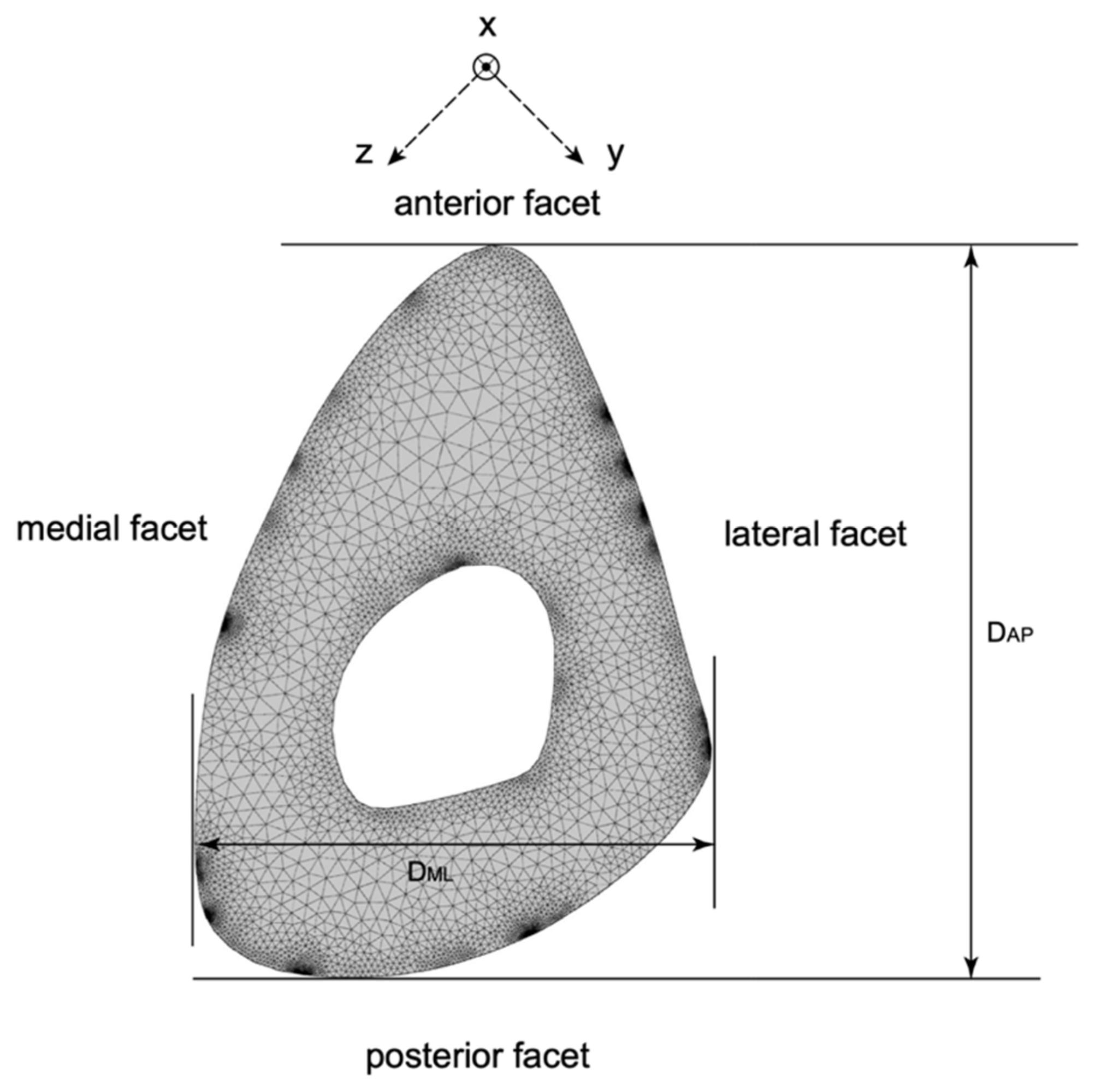 Applsci 10 08397 g003