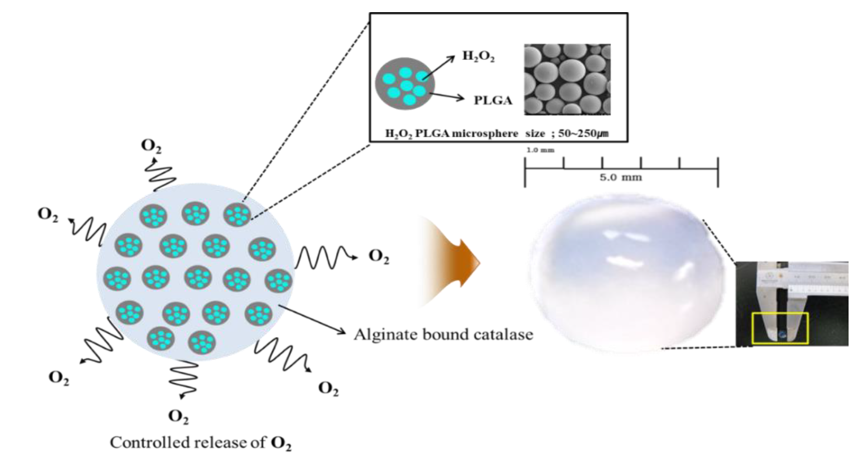 Applsci 10 08399 g001