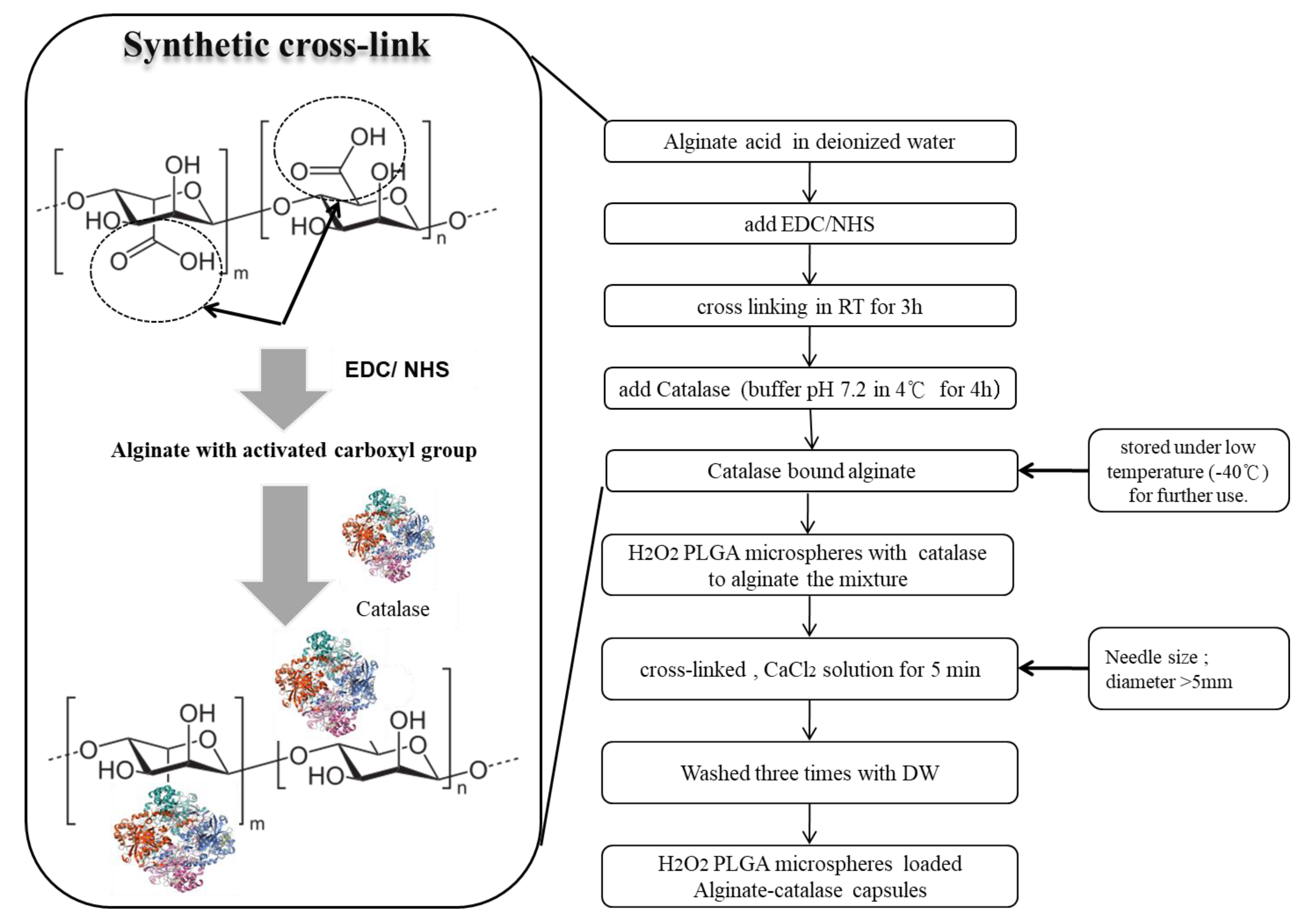Applsci 10 08399 g002