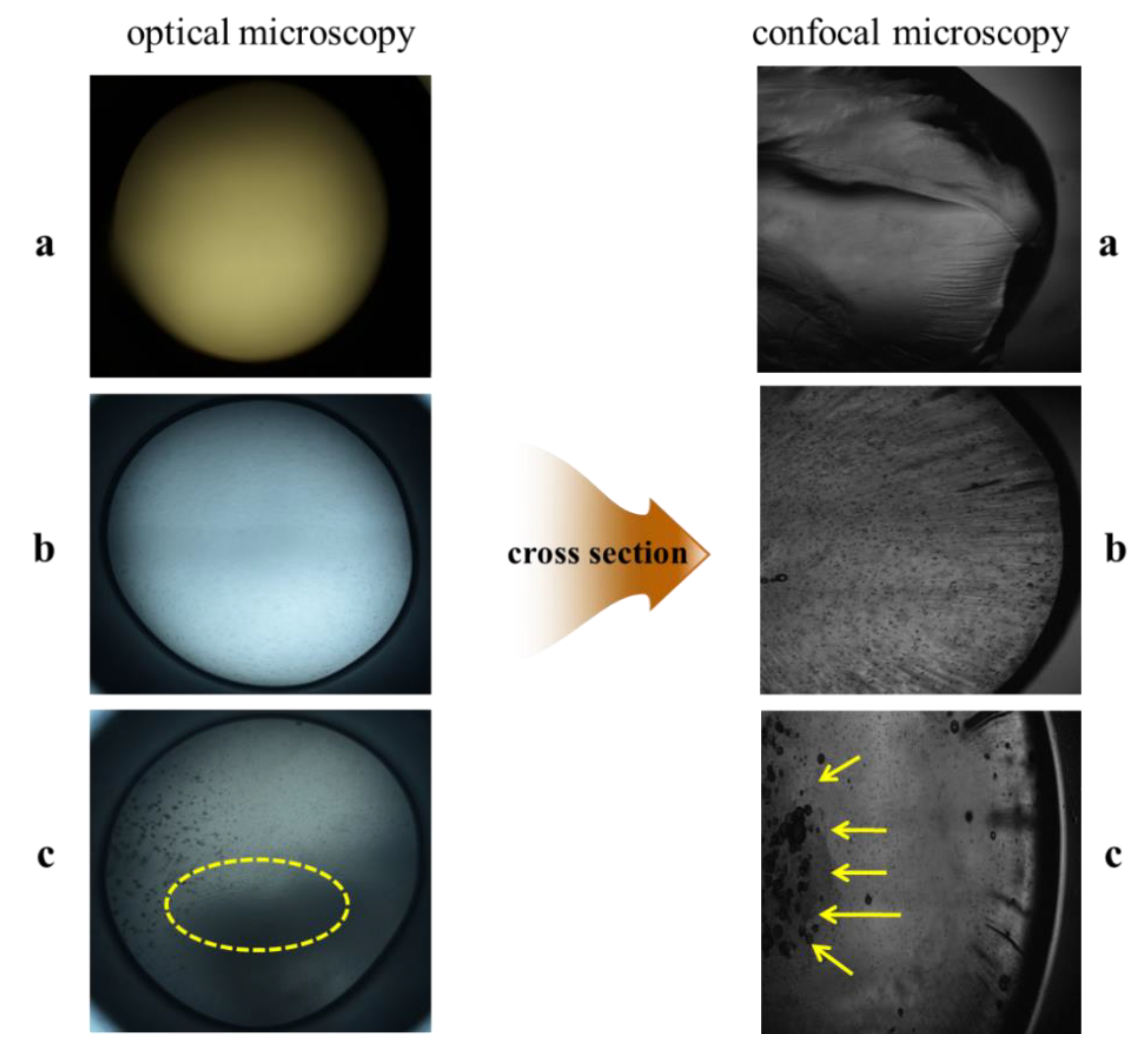 Applsci 10 08399 g003