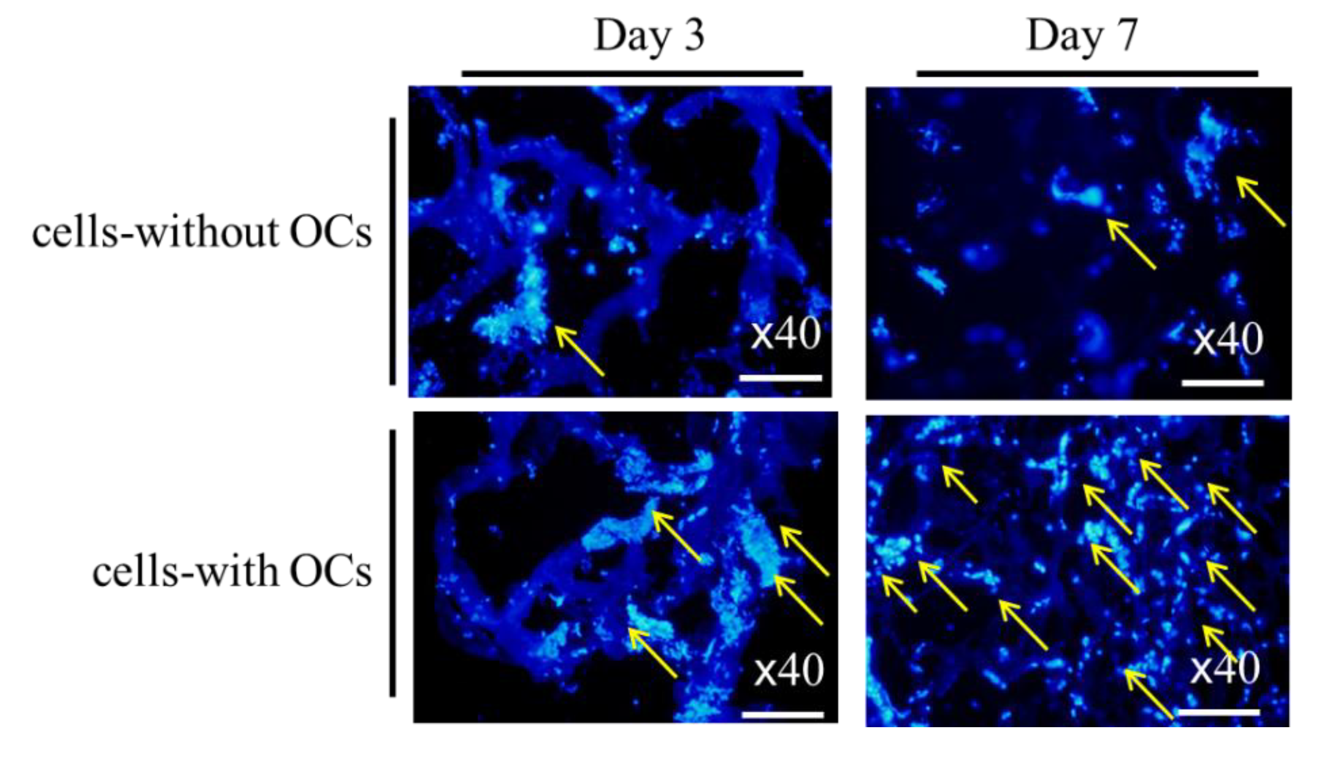 Applsci 10 08399 g006