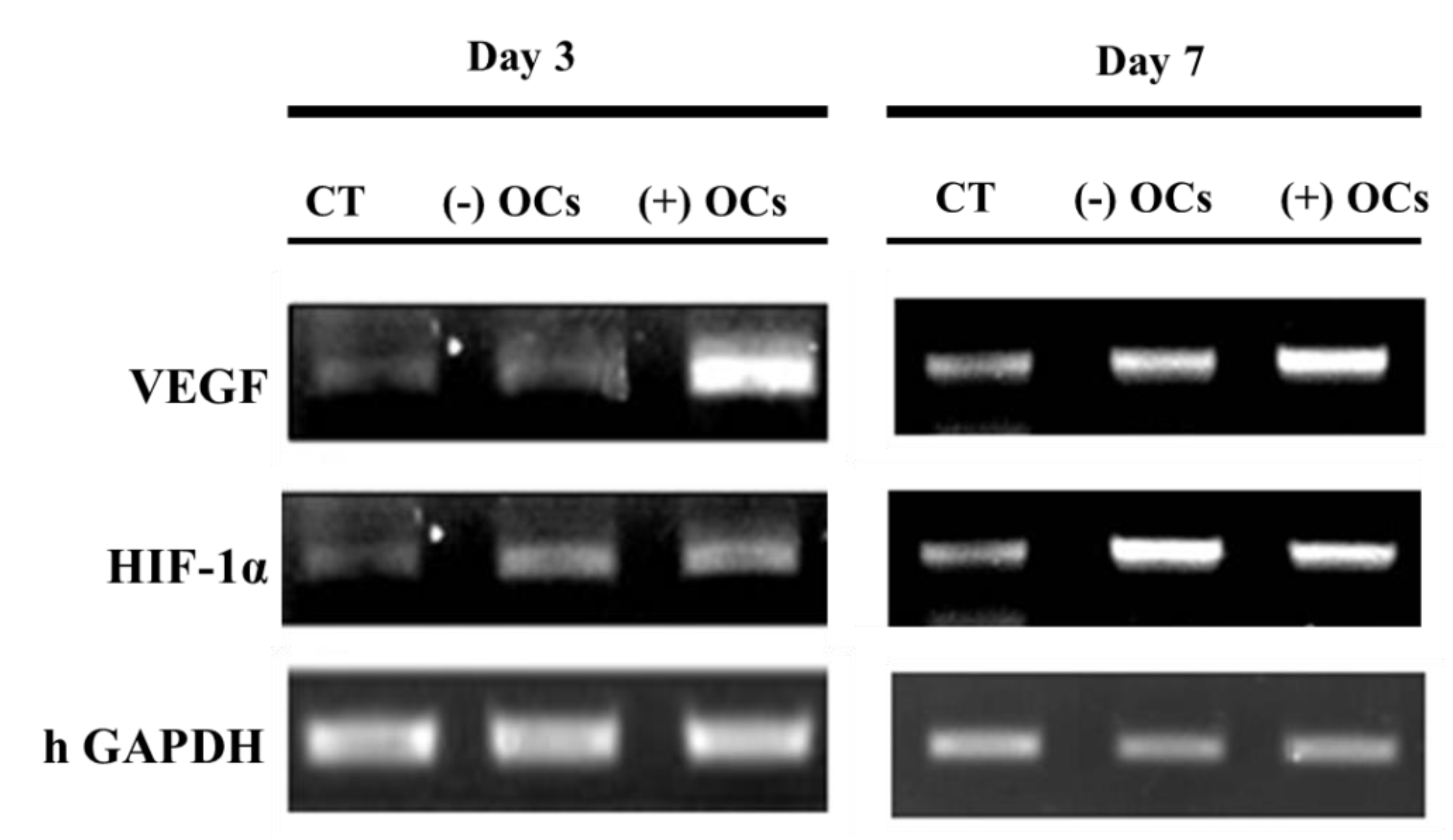 Applsci 10 08399 g007