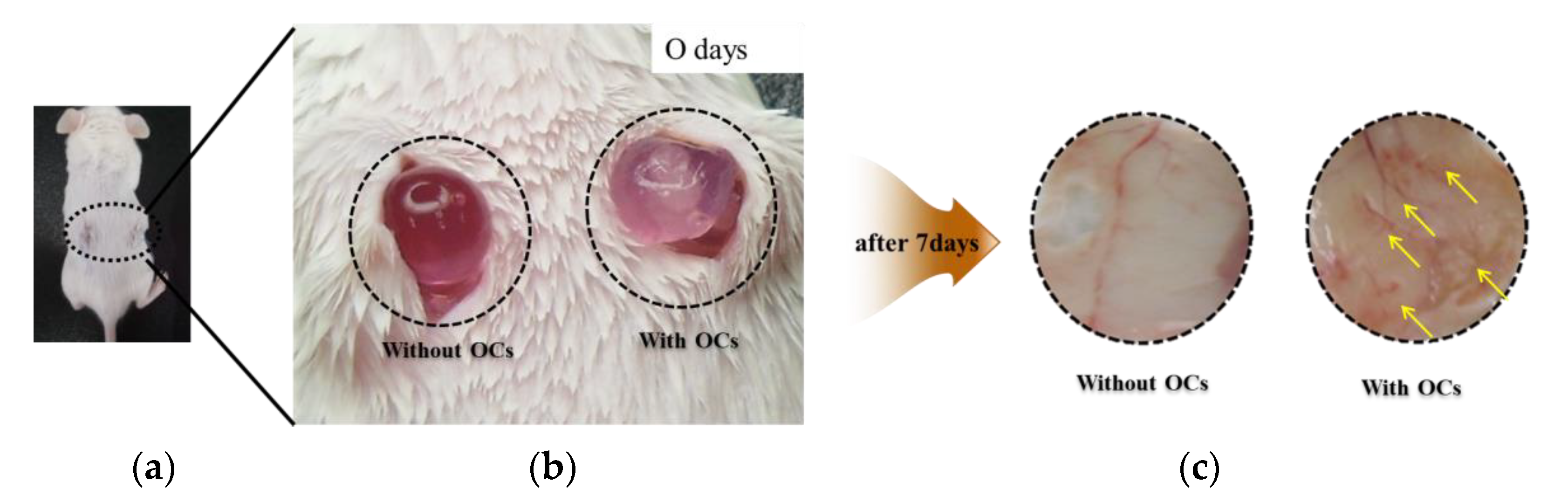 Applsci 10 08399 g008