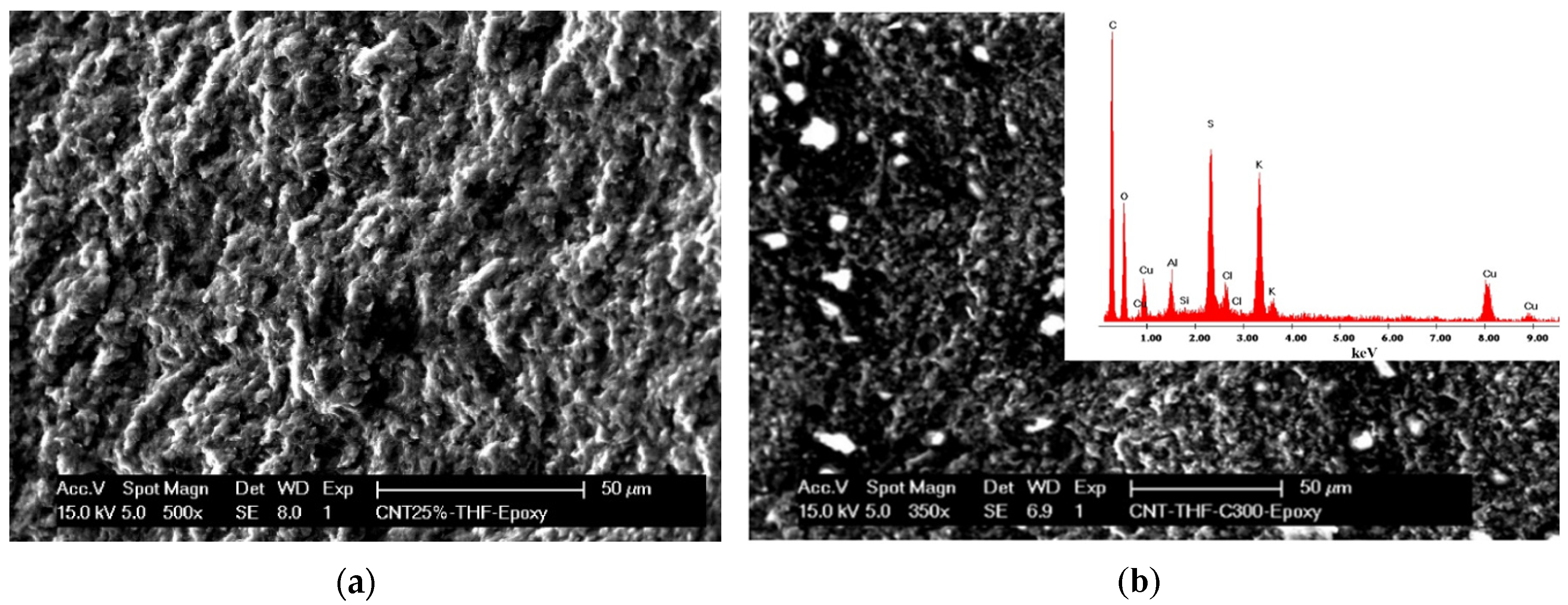 Applsci 10 08419 g001