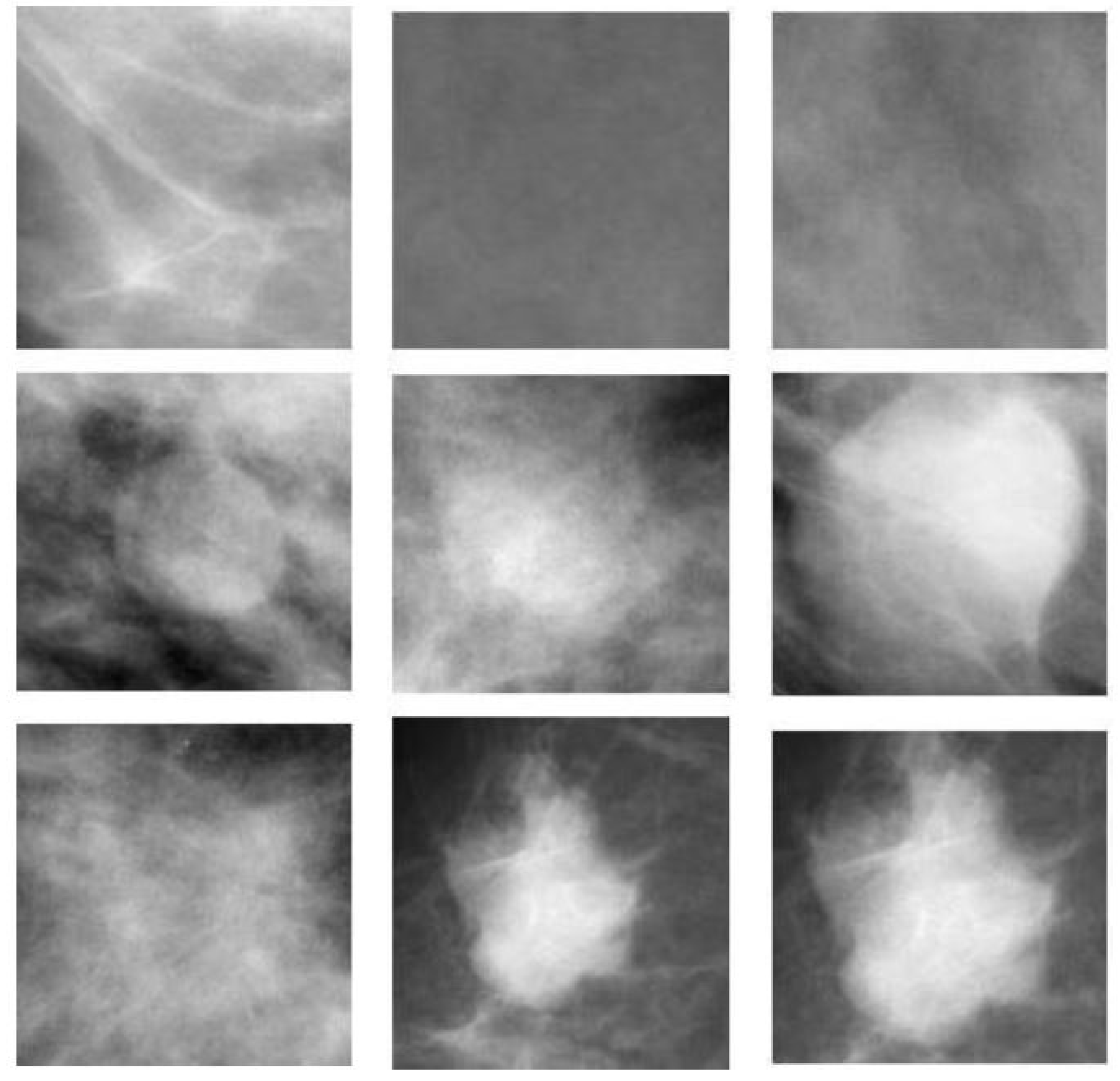 Applsci 10 08422 g004 Applsci 10 08422 g004