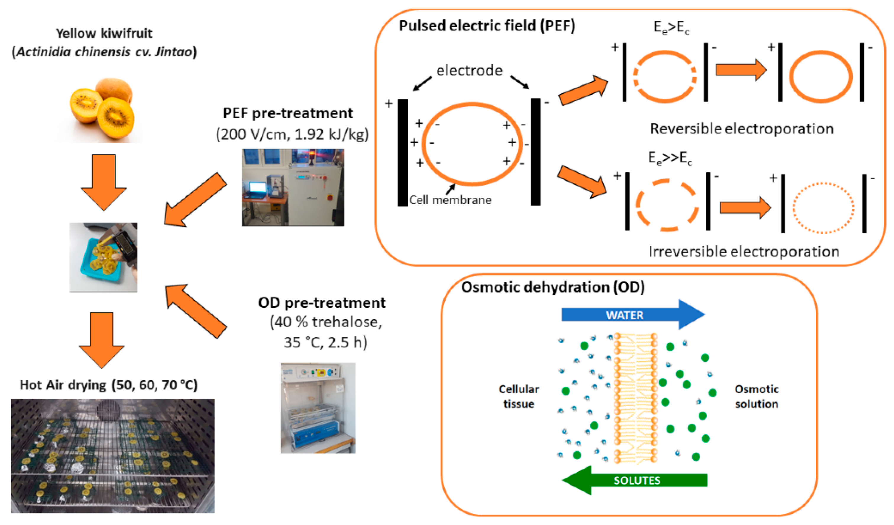 Applsci 10 08432 g005 Applsci 10 08432 g005