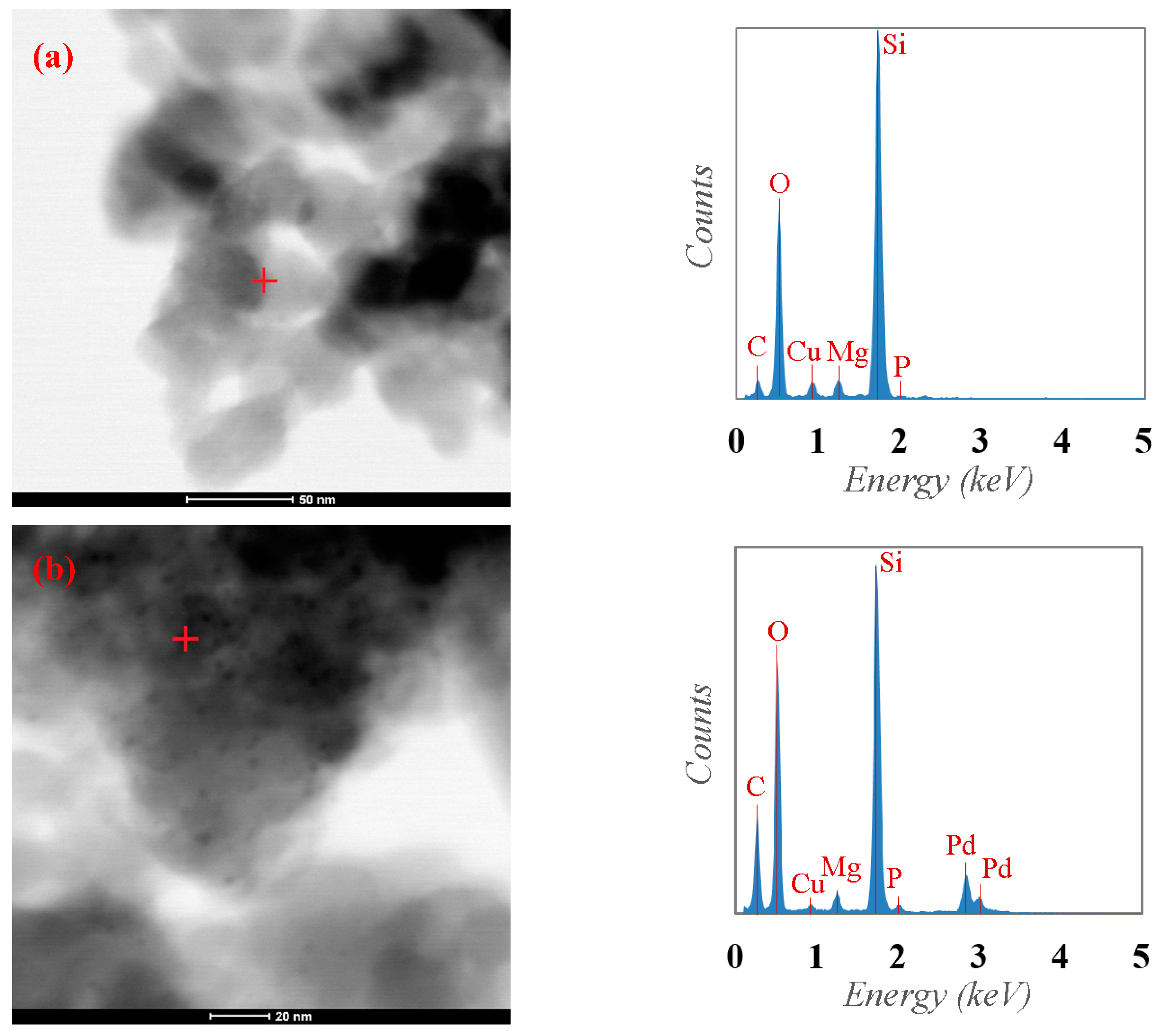 Applsci 10 08440 g004 Applsci 10 08440 g004