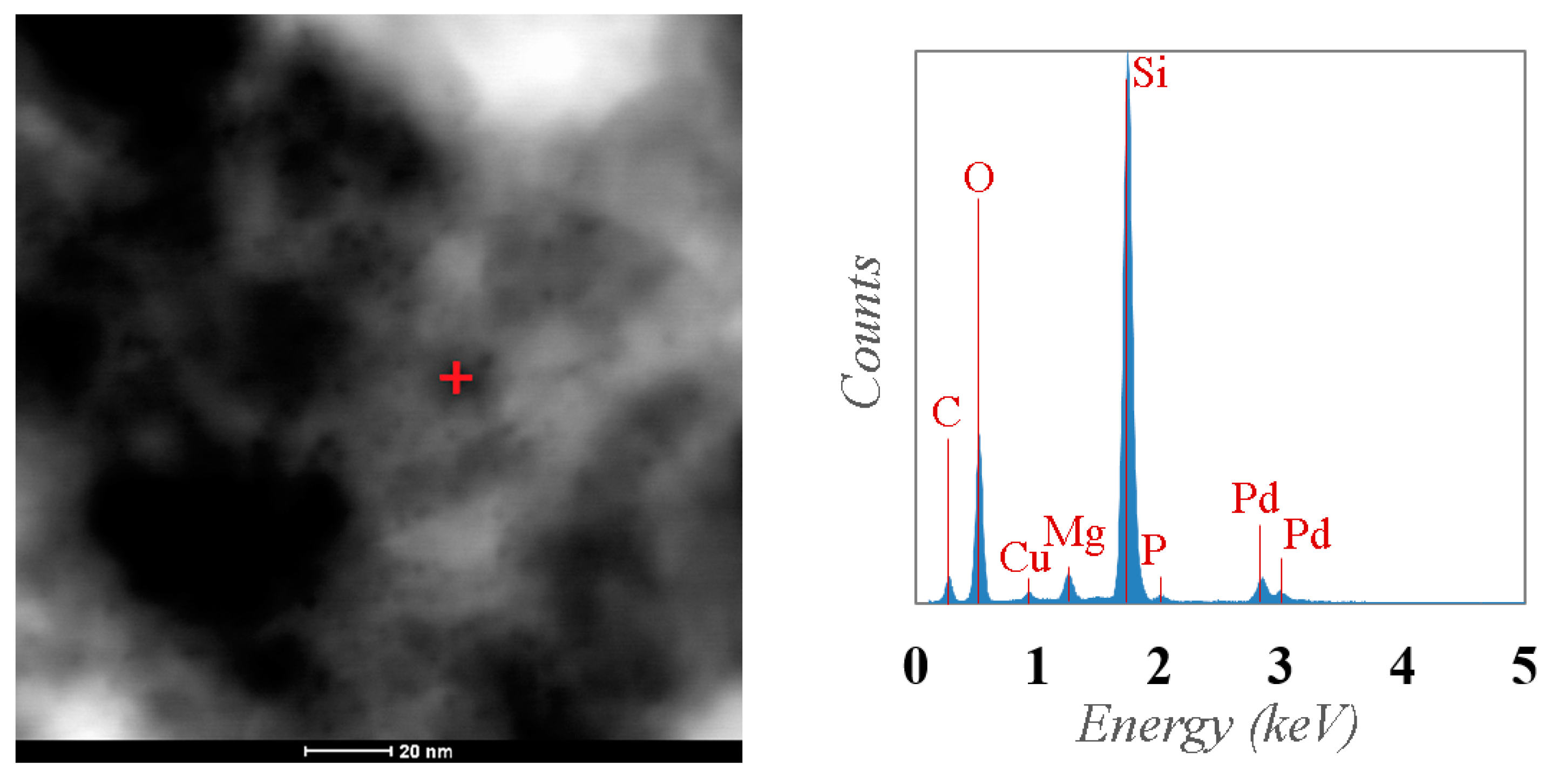 Applsci 10 08440 g010 Applsci 10 08440 g010