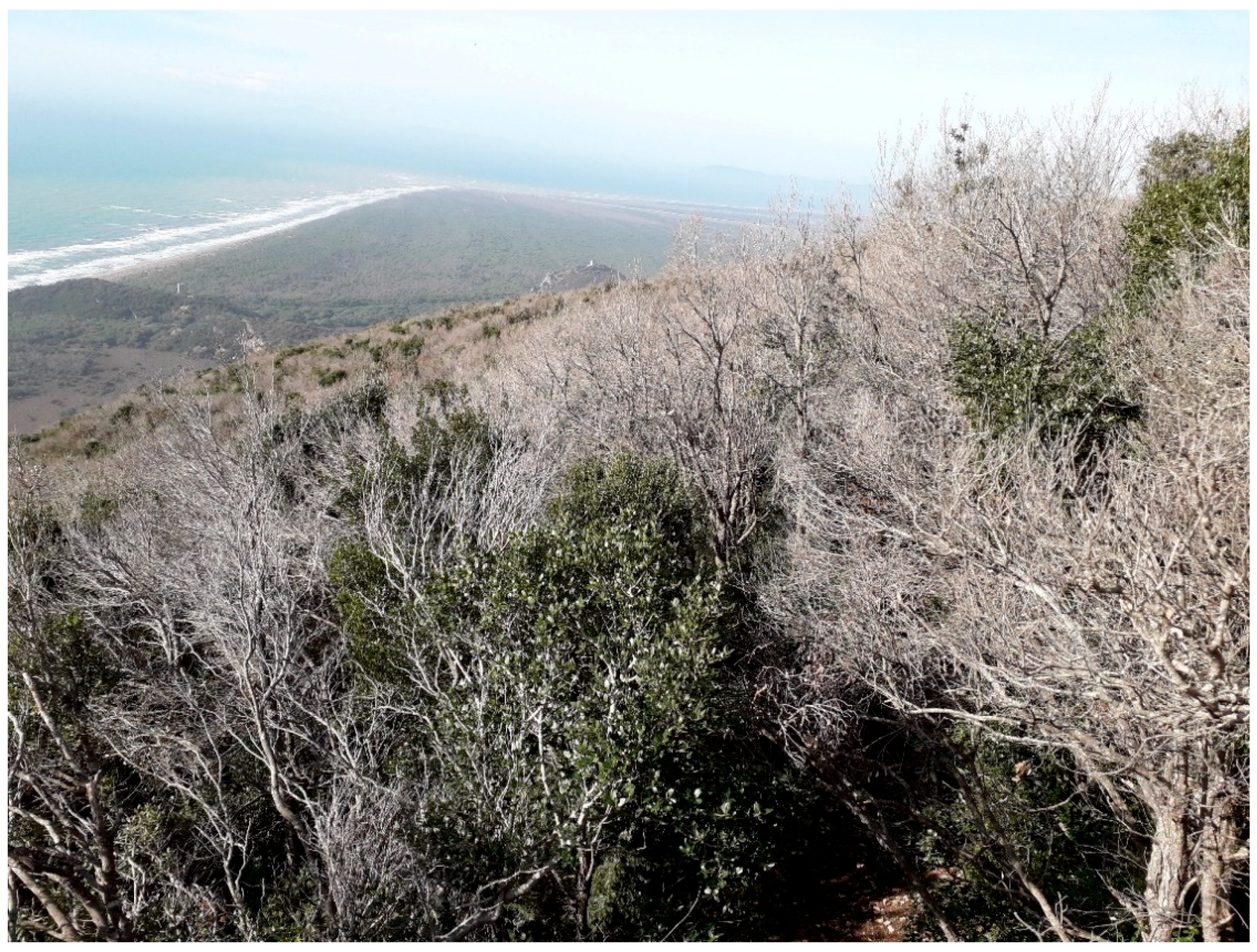 Applsci 10 08458 g001 Applsci 10 08458 g001