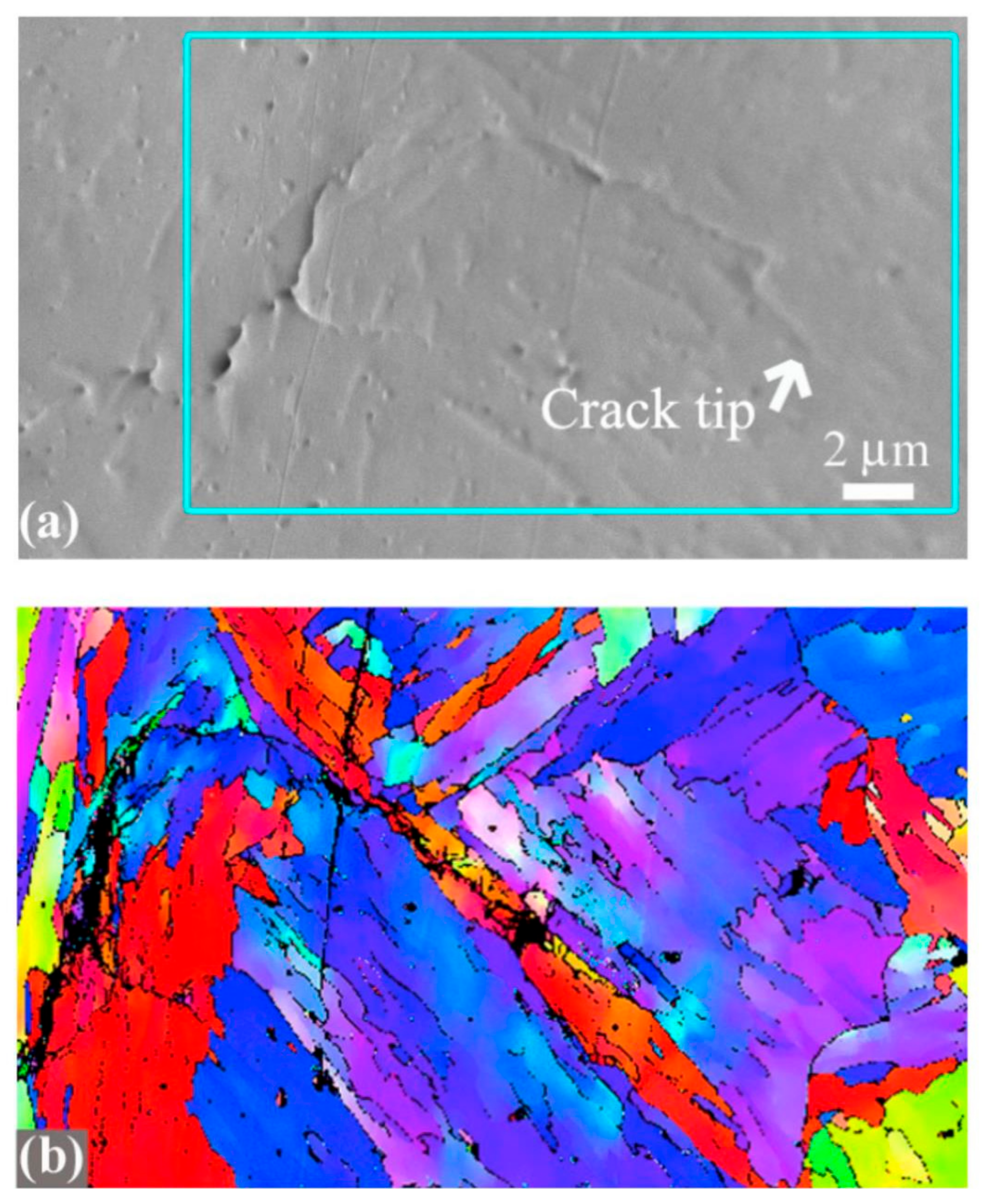 Applsci 10 08475 g007