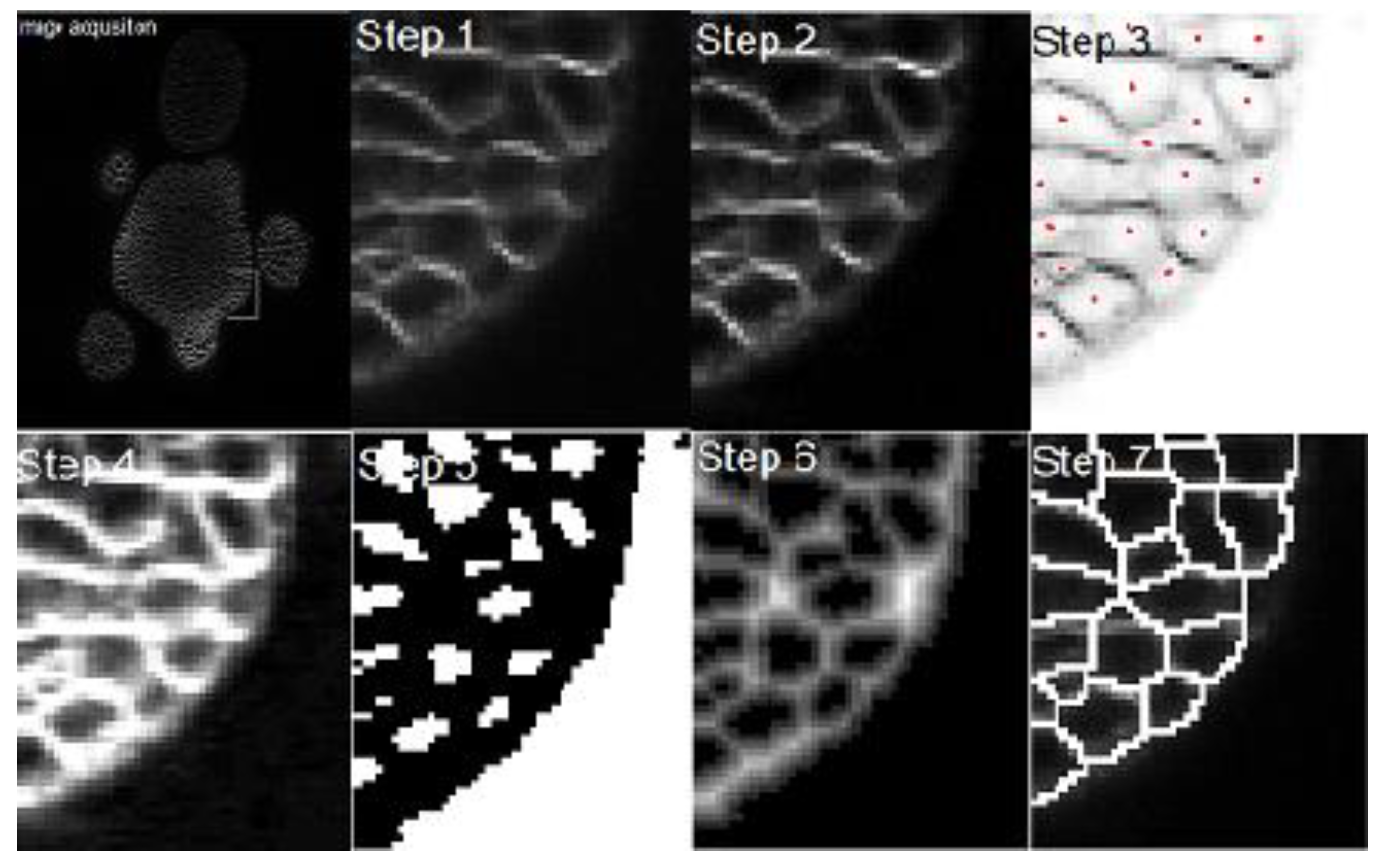 Applsci 10 08523 g003