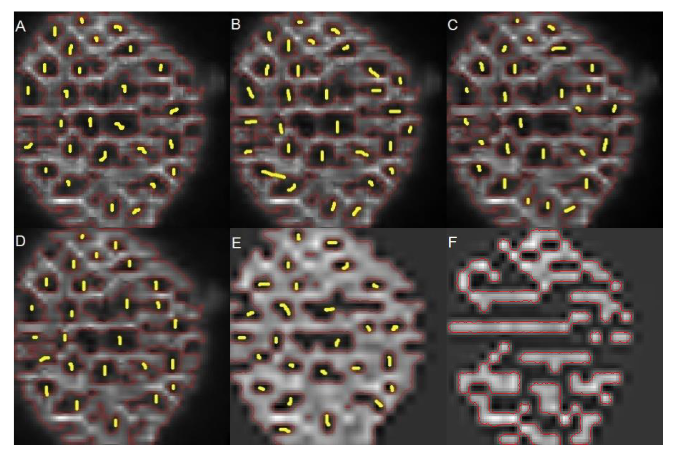 Applsci 10 08523 g011