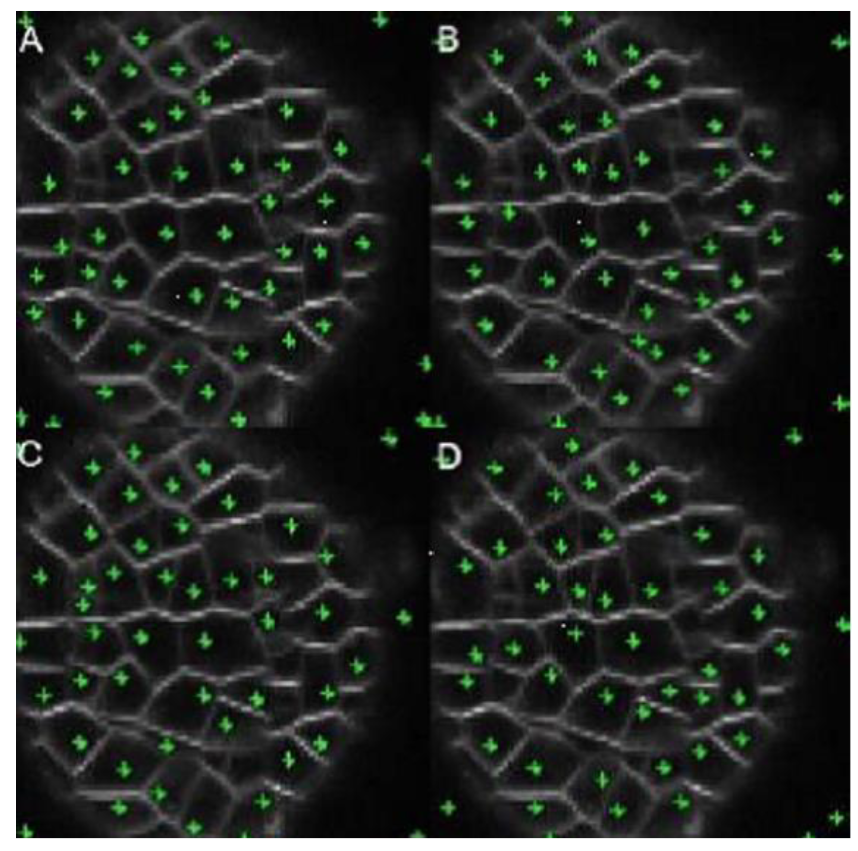 Applsci 10 08523 g012