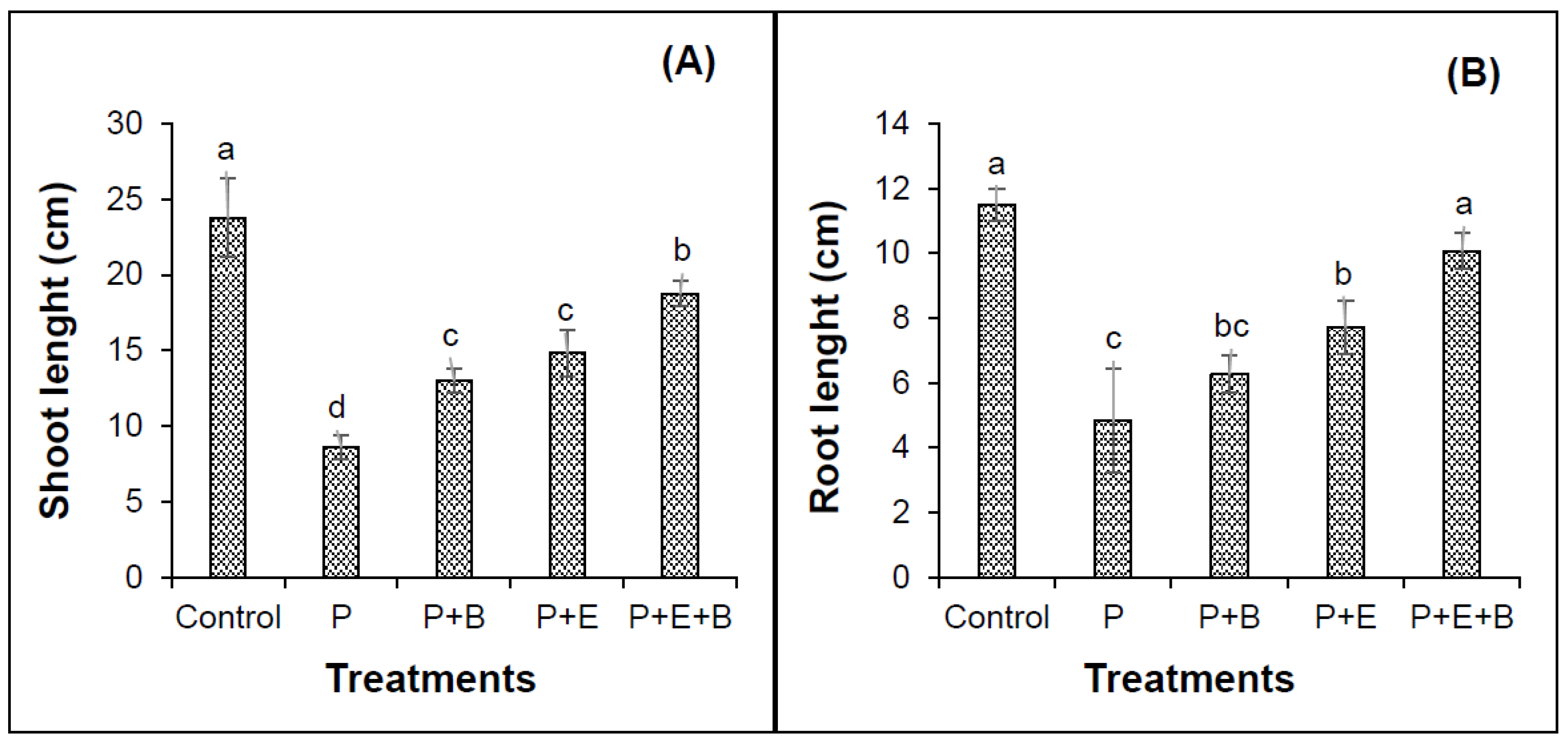Applsci 10 08548 g002 Applsci 10 08548 g002